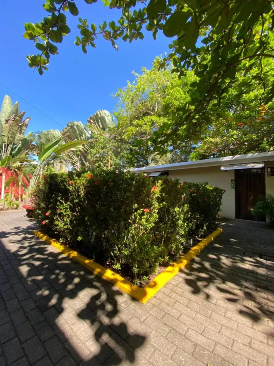 Patio, Garden in Hotel Playa Westfalia