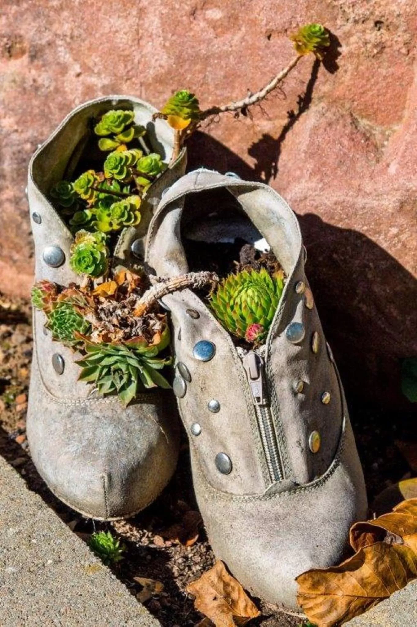 Other, Other Animals in Villa Croatia & Restaurant Adria