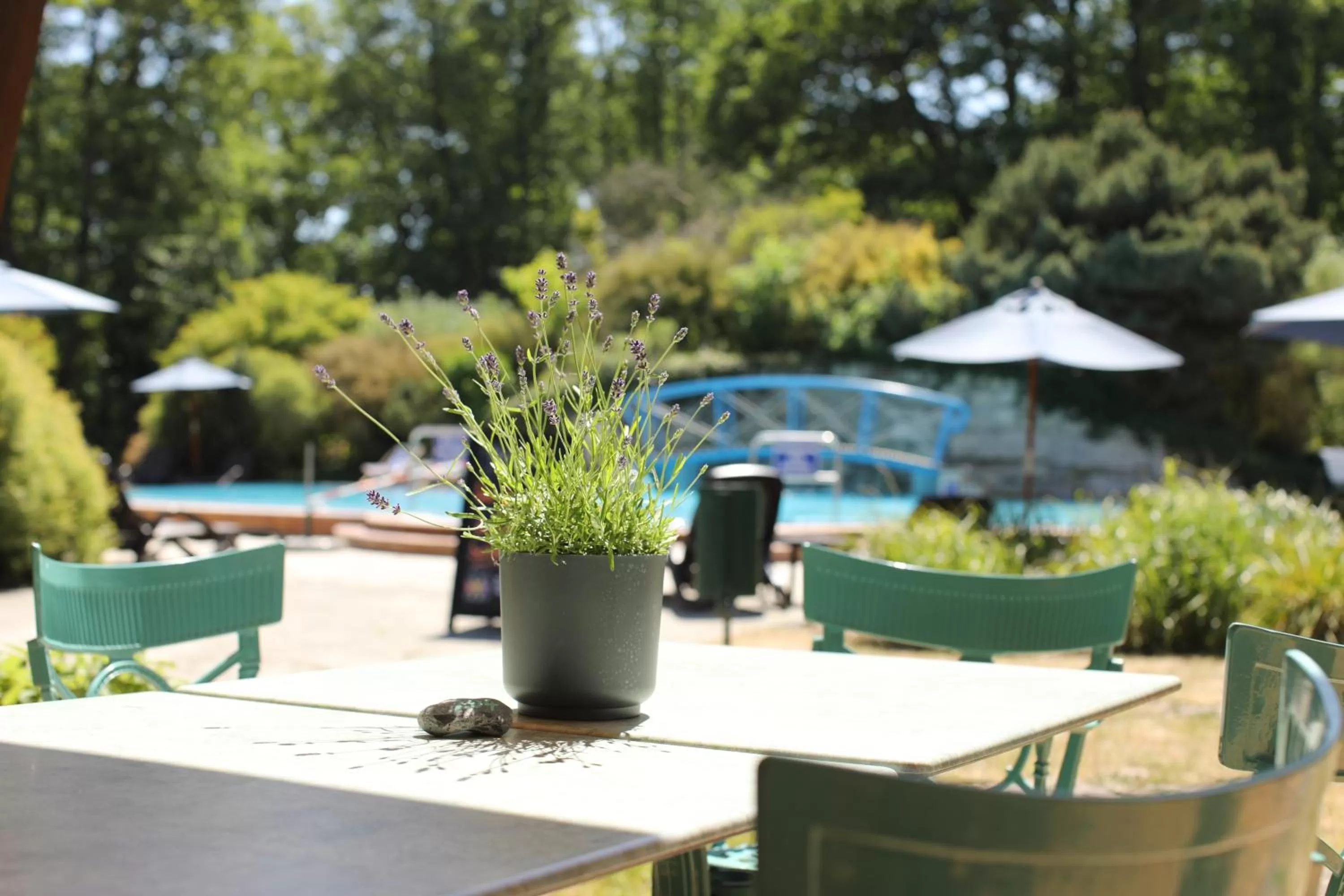 Garden in Hotel Bernstein Prerow