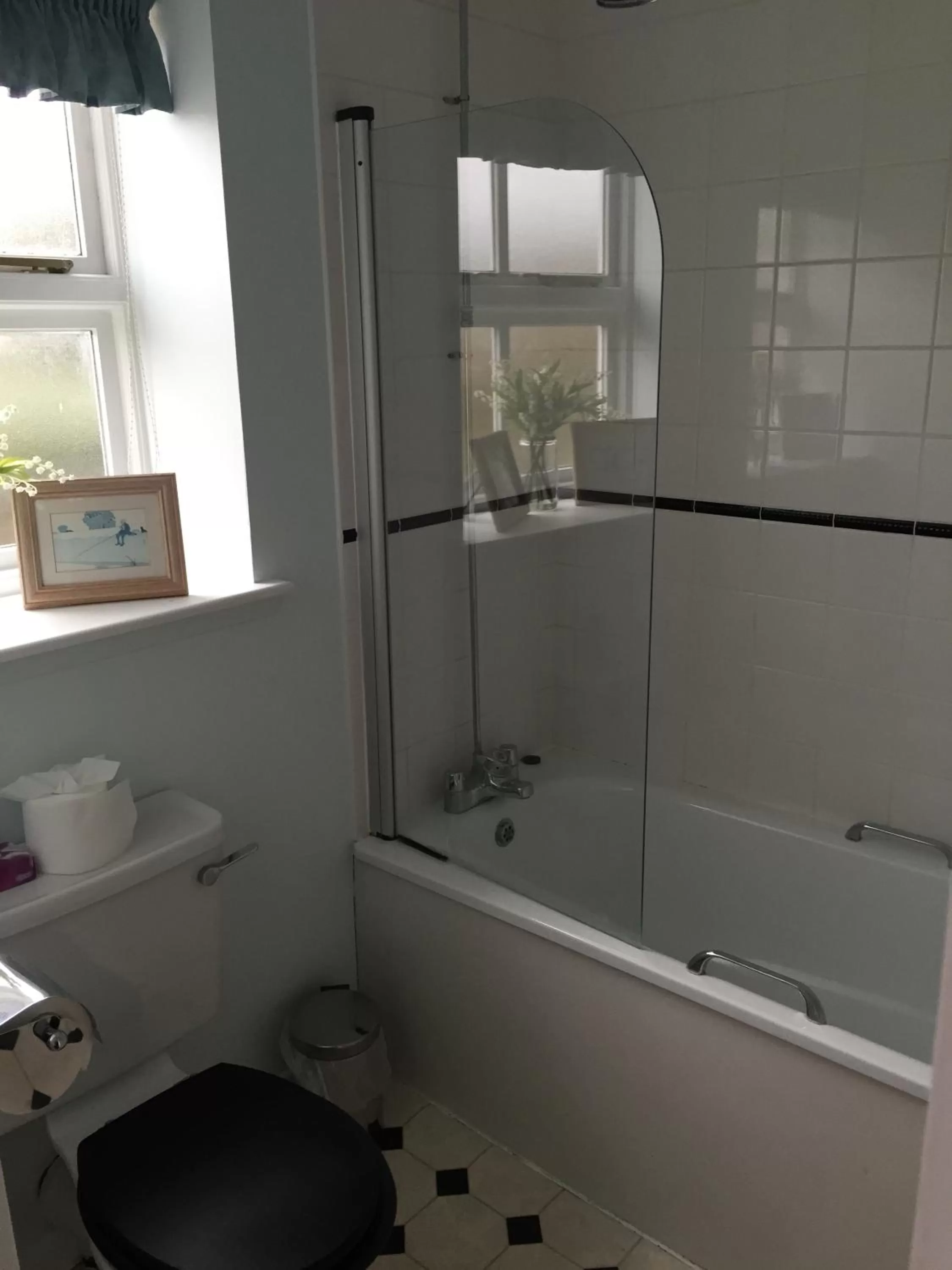 Toilet in The Ship Inn