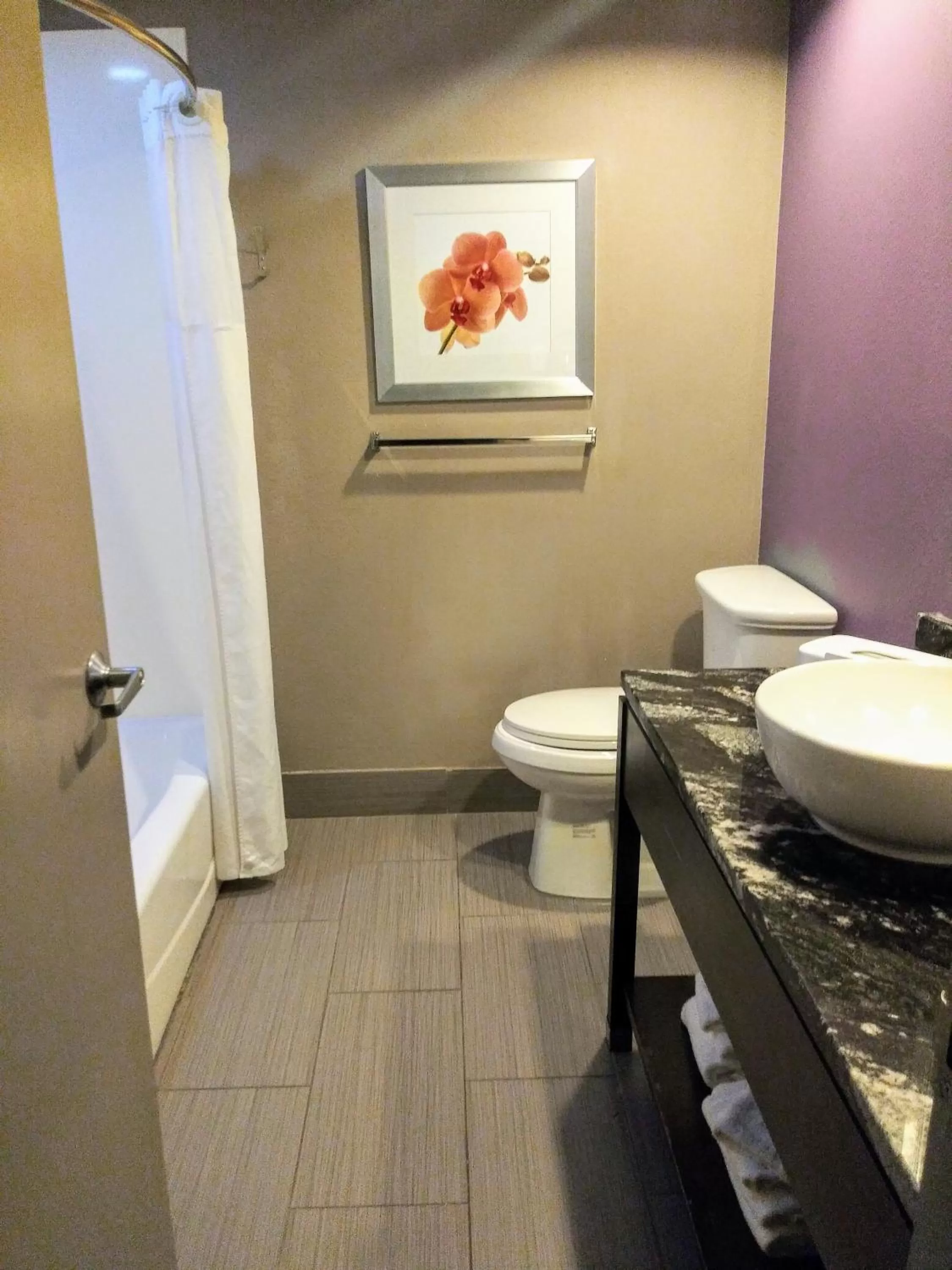 Bathroom in Quality Suites Fort Myers I-75