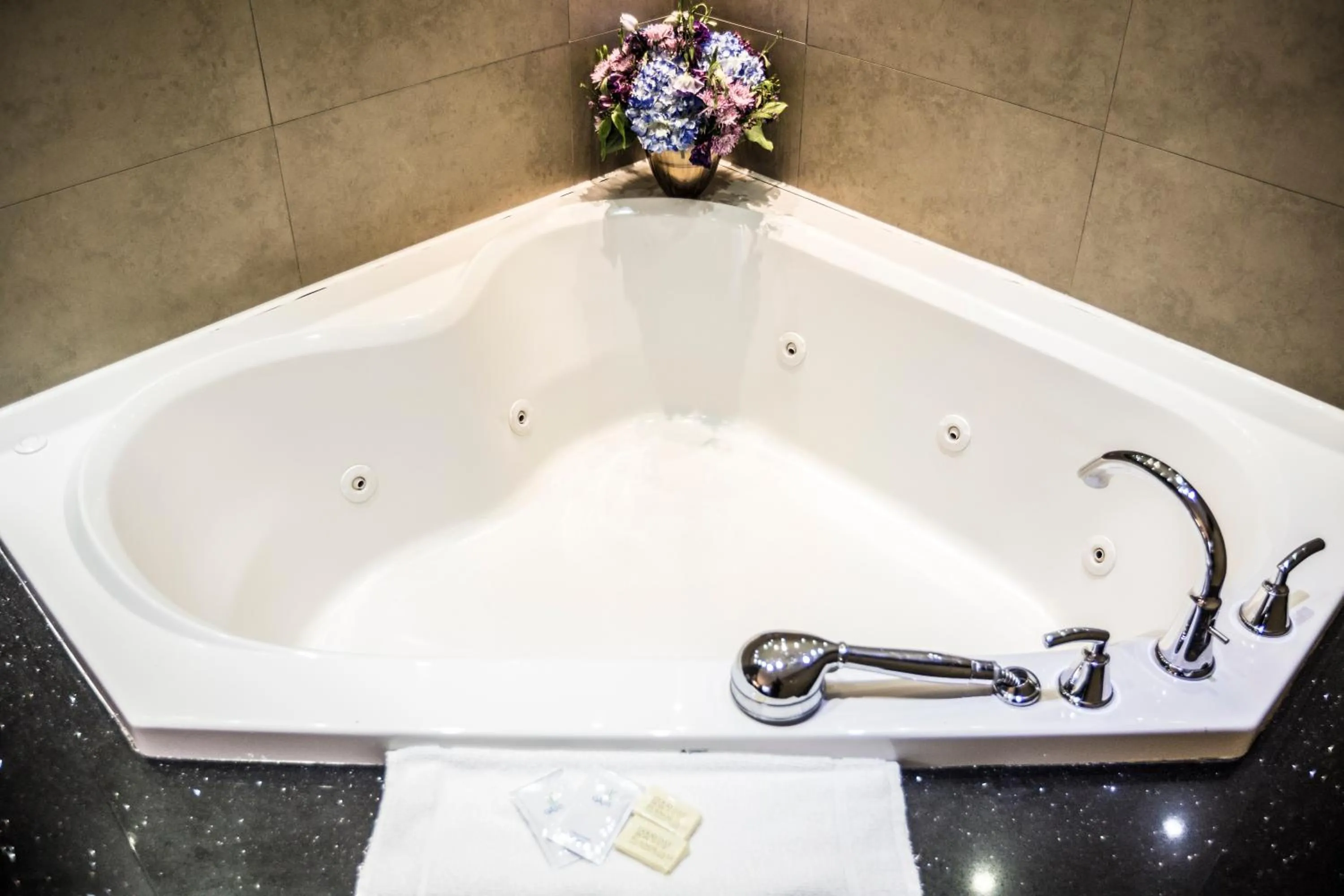 Bathroom in Mississauga Gate Inn