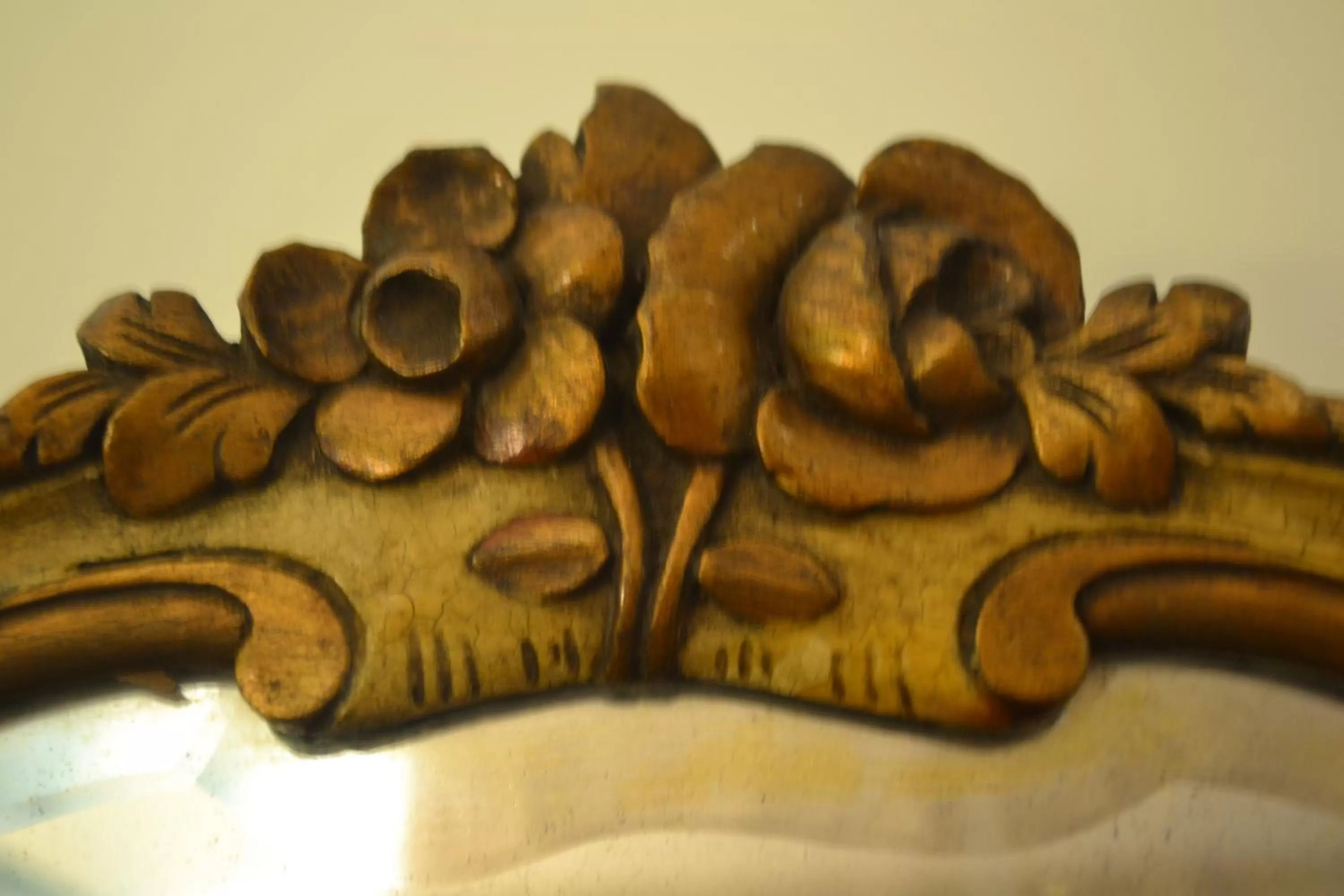 Other in MadreTierra Patagonia