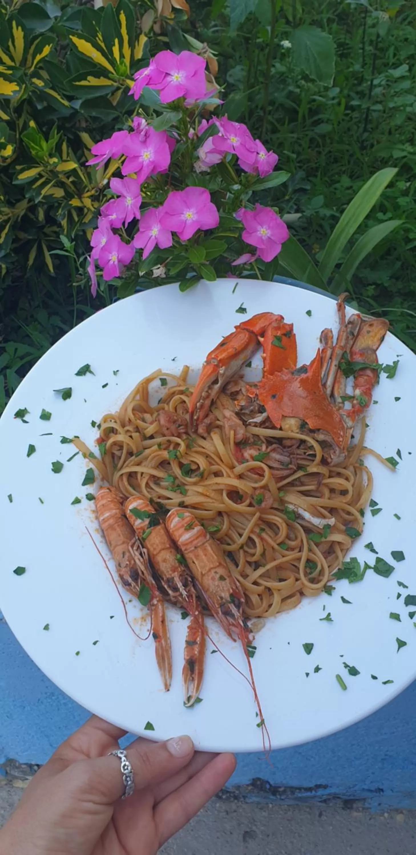 Food and drinks, Food in Hotel Alba-Gert