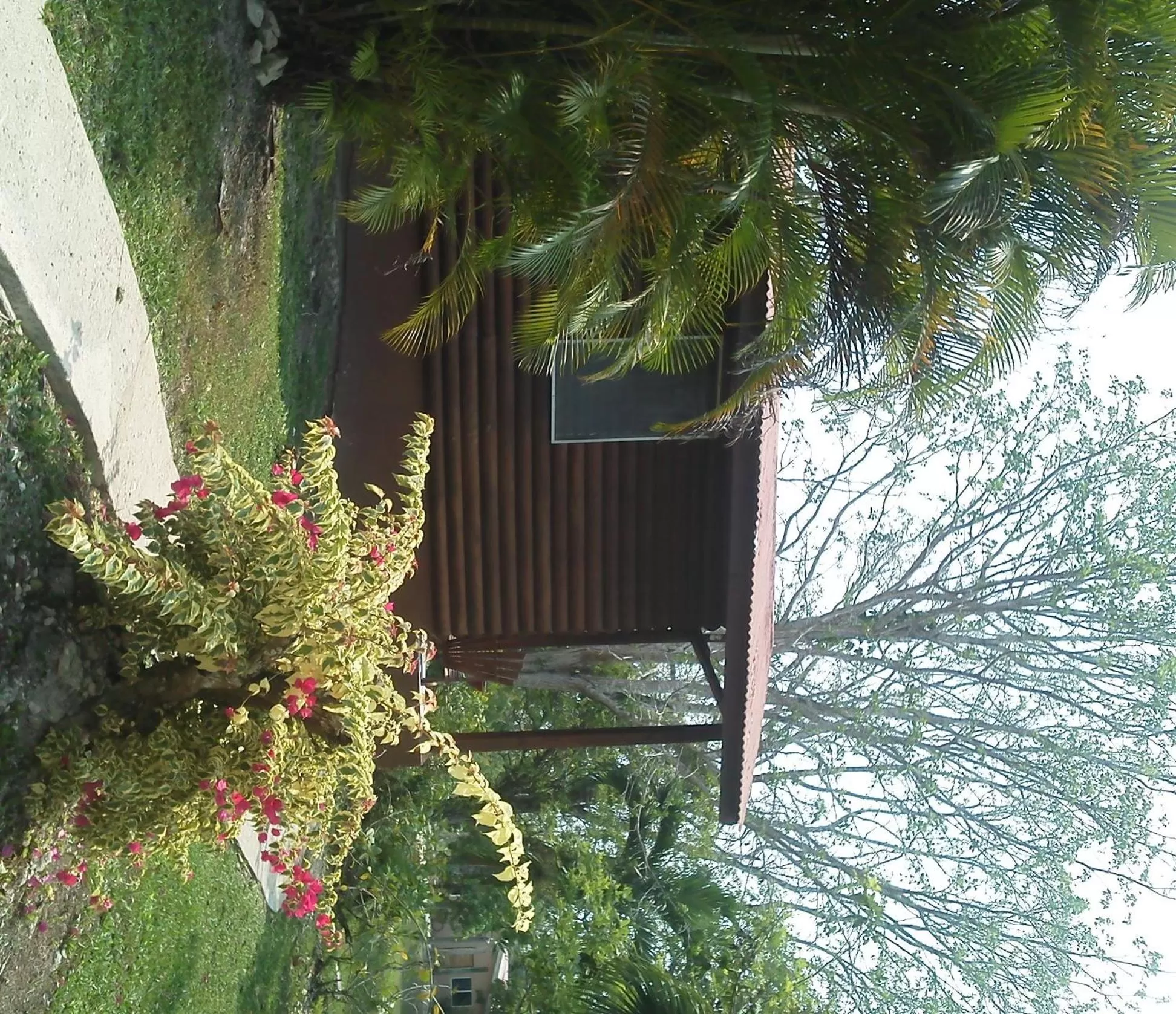 Facade/entrance in The Log Cab-Inn