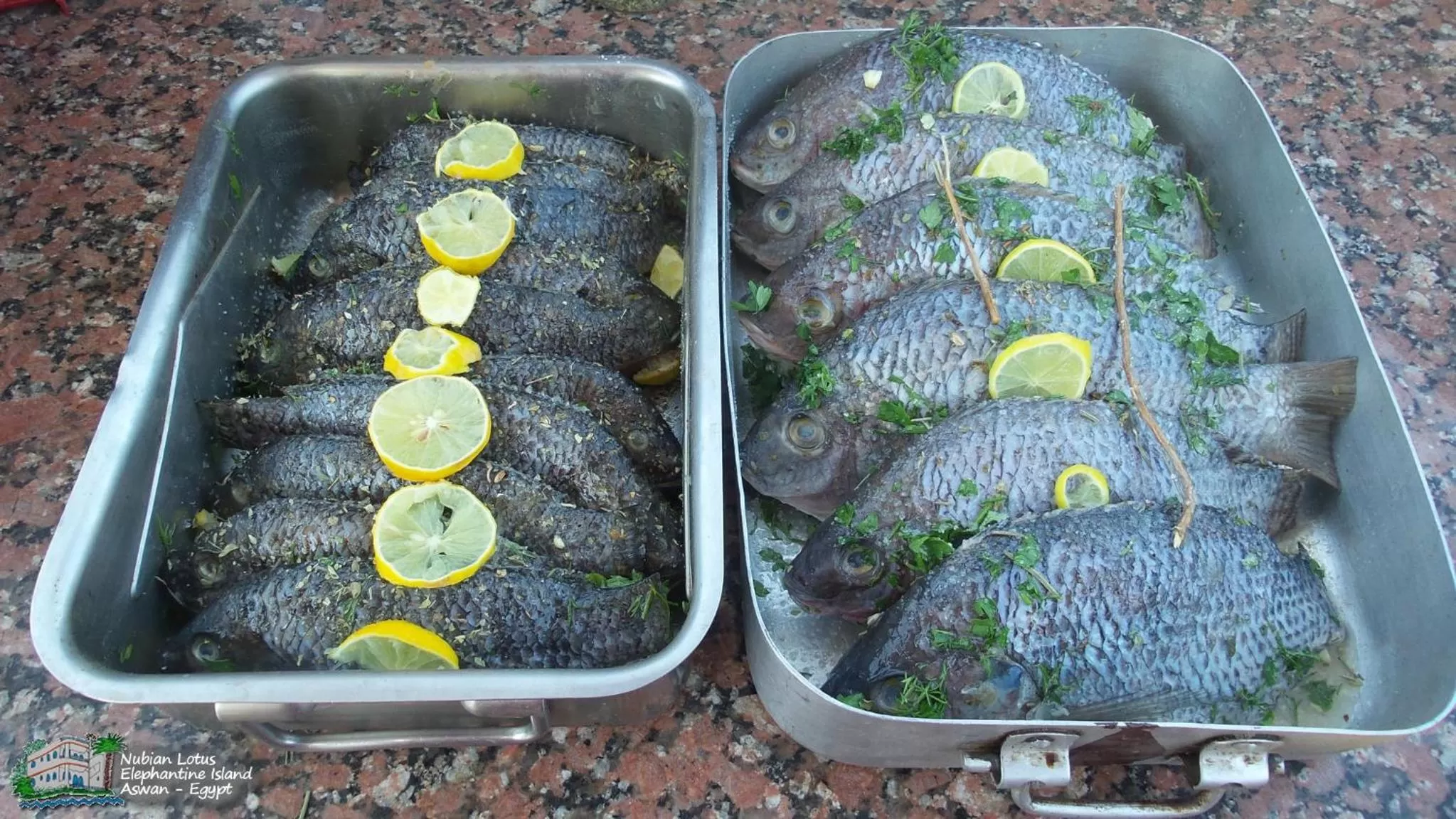 Restaurant/places to eat, Food in Nubian Lotus