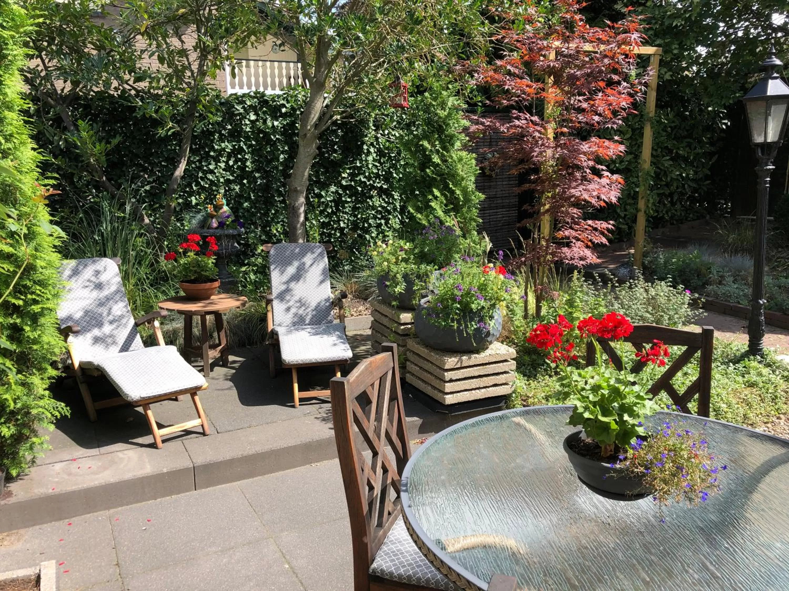 Garden, Restaurant/Places to Eat in Walnut Lodge Bed & Breakfast