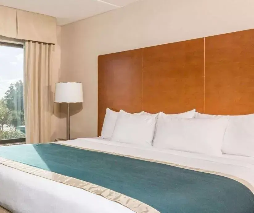 Deluxe King Room - Non-Smoking in Wingate by Wyndham Richmond Short Pump Deluxe King Room - Non-Smoking in Wingate by Wyndham Richmond Short Pump