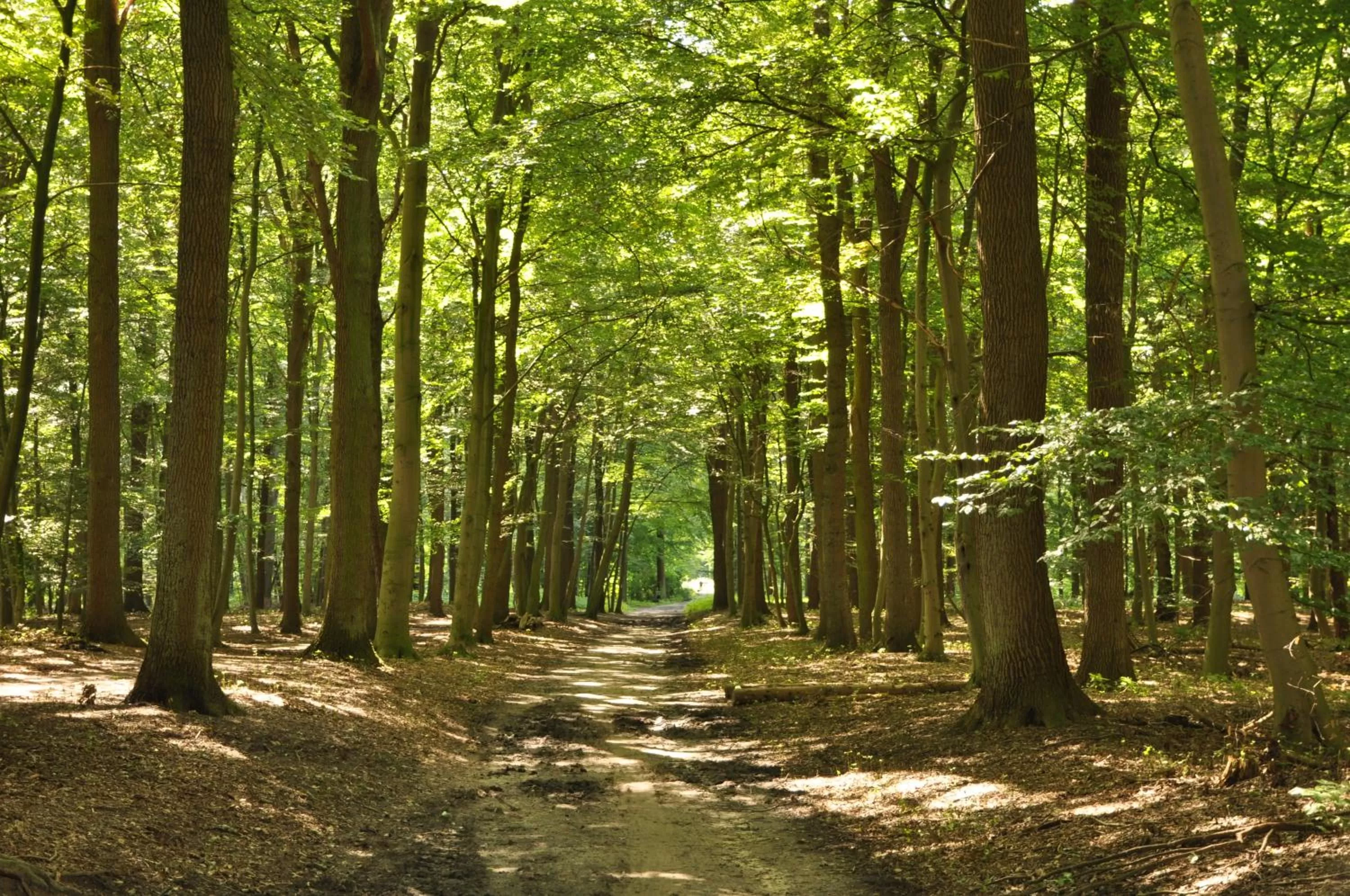 Hiking in Hotel zur Bever