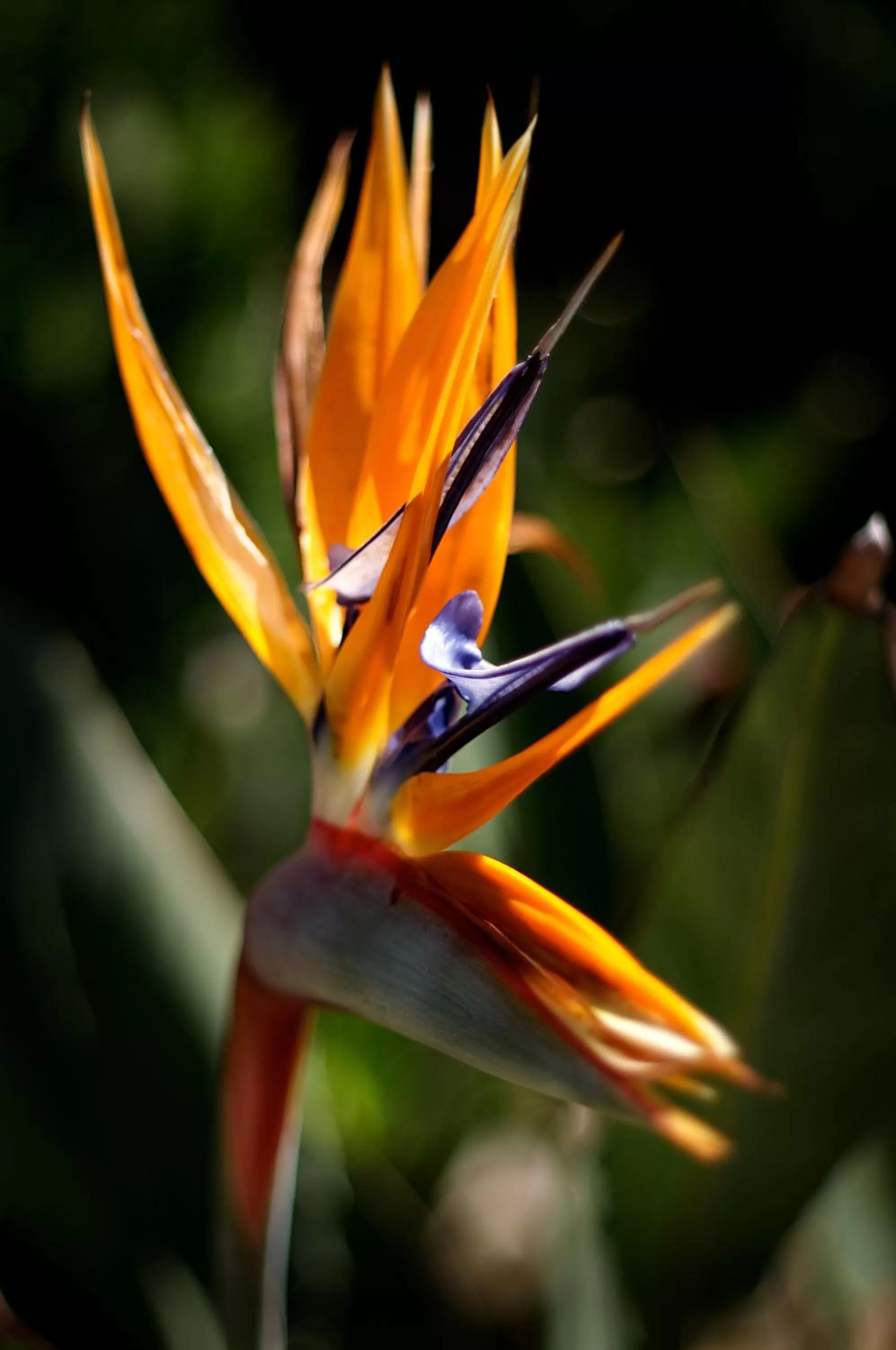 Decorative detail in Estancia La Jolla Hotel & Spa