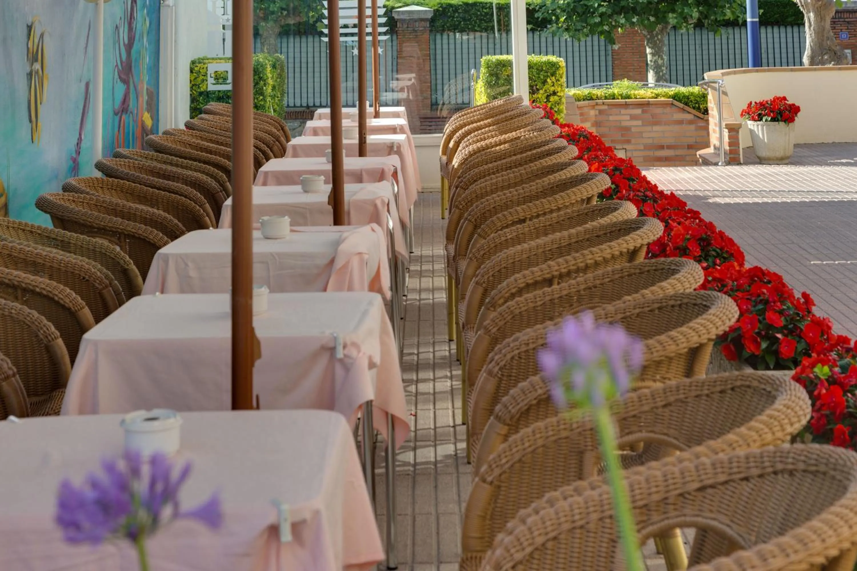 Balcony/Terrace in Hotel Cosmopol