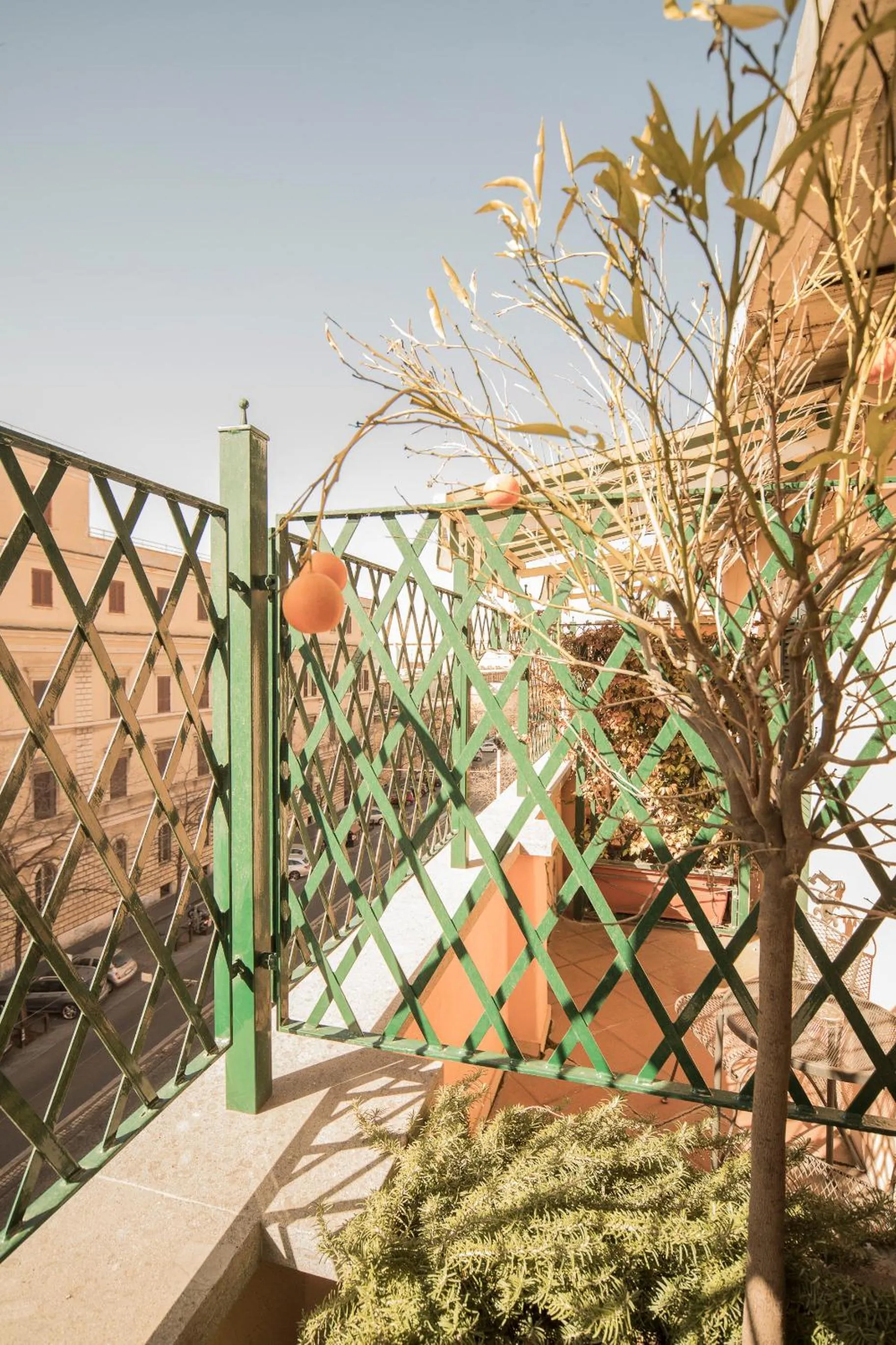 City view in Hotel Donatello