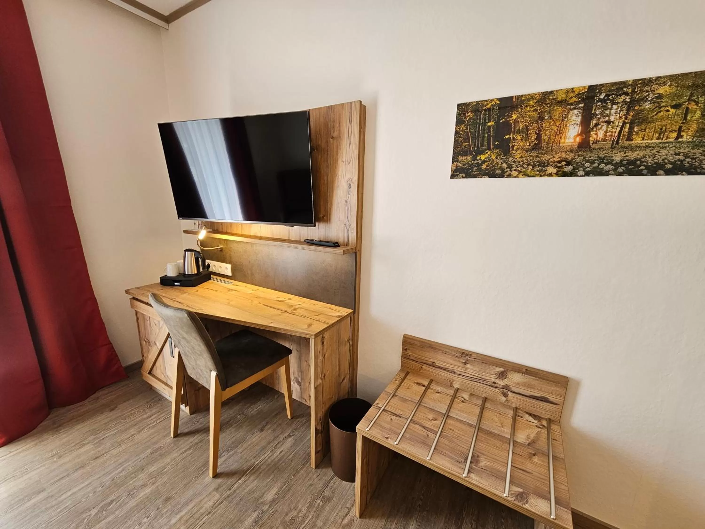 TV and multimedia in Hotel-Landgasthof Ploss