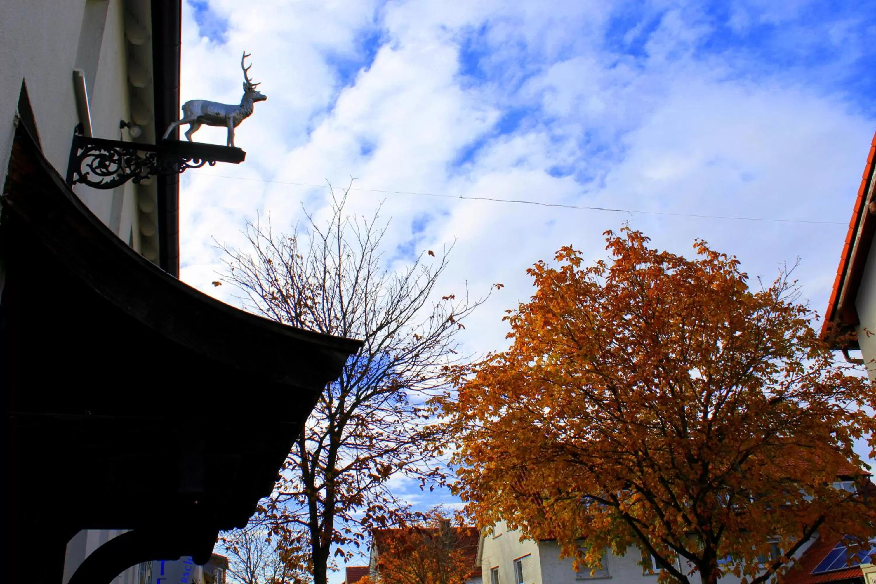 Property building in Hotel am Hirschgarten