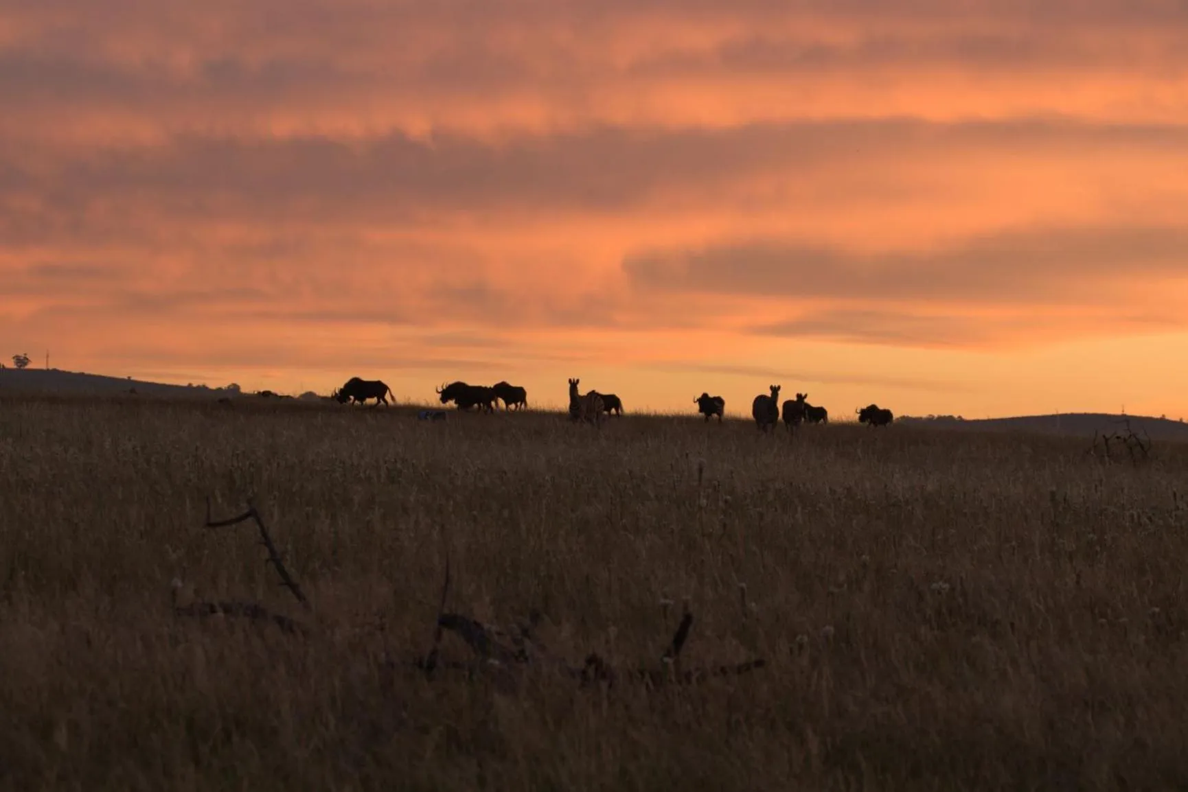 Patio in Wild Clover Cottages