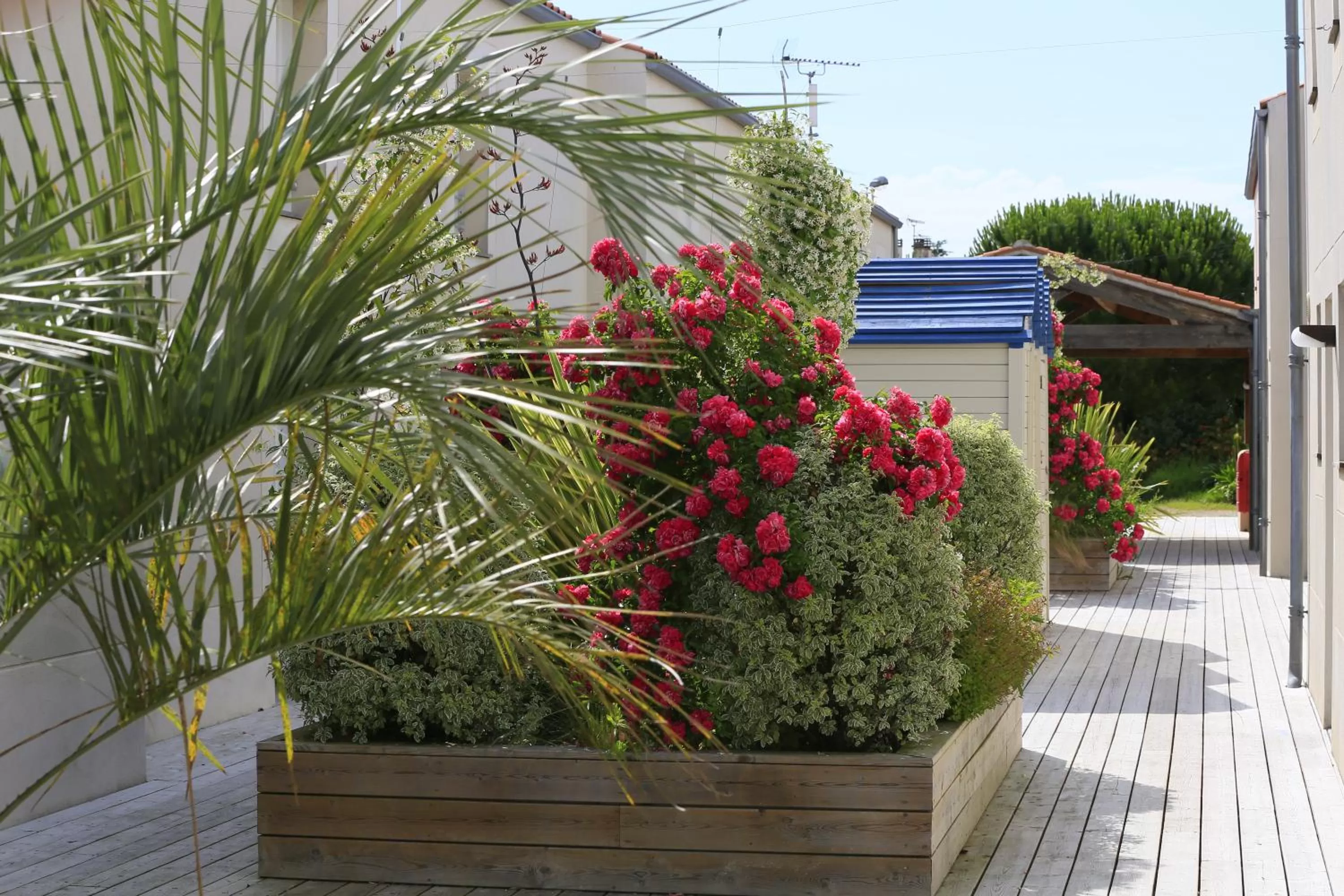 Patio in Côté Océan Resort