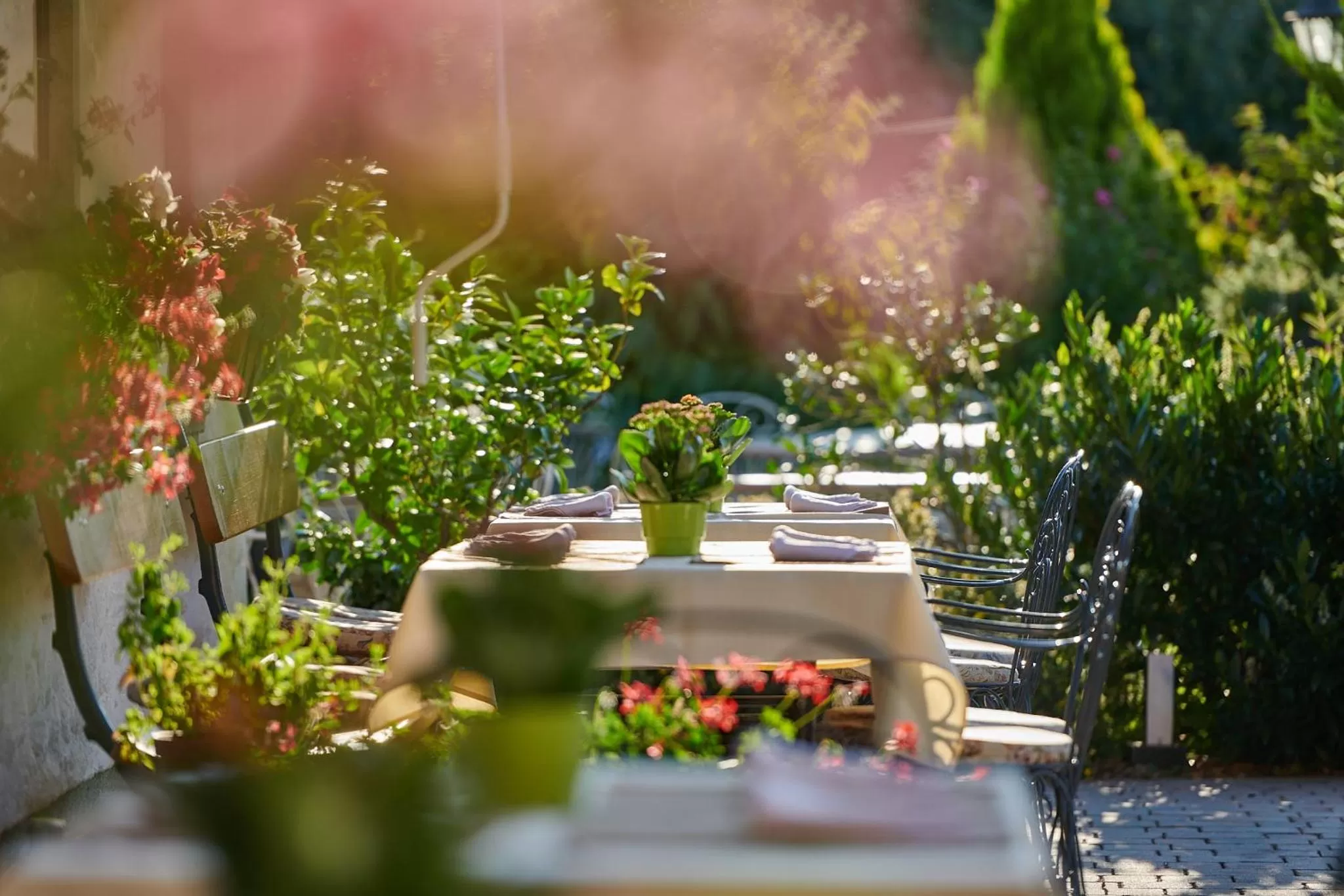 Garden in Penzion Berc