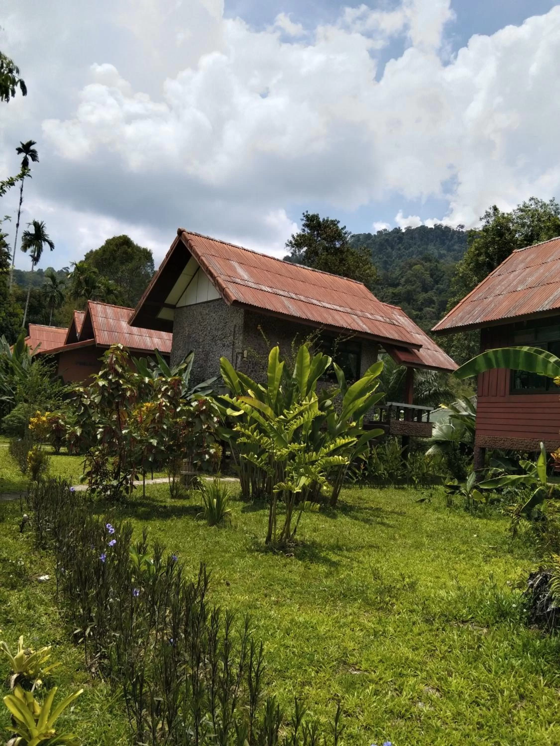 Property building in Khao Sok River & Jungle Resort