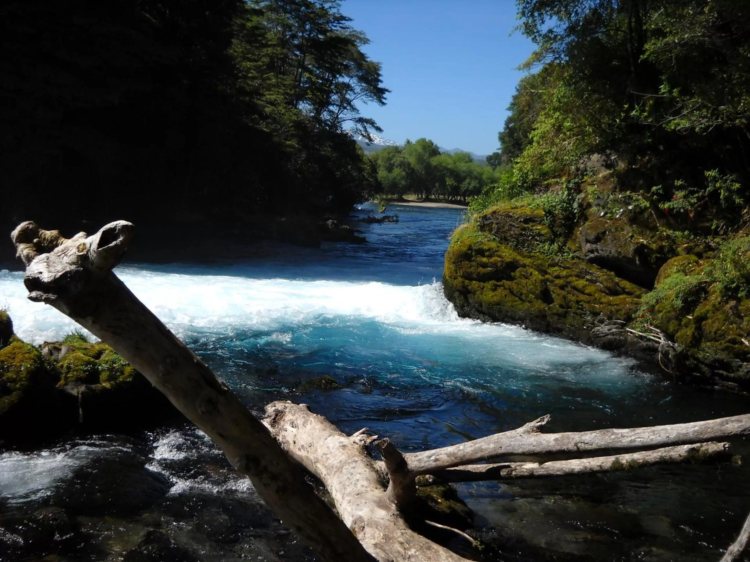 View (from property/room) in Hotel Salto del Carileufu