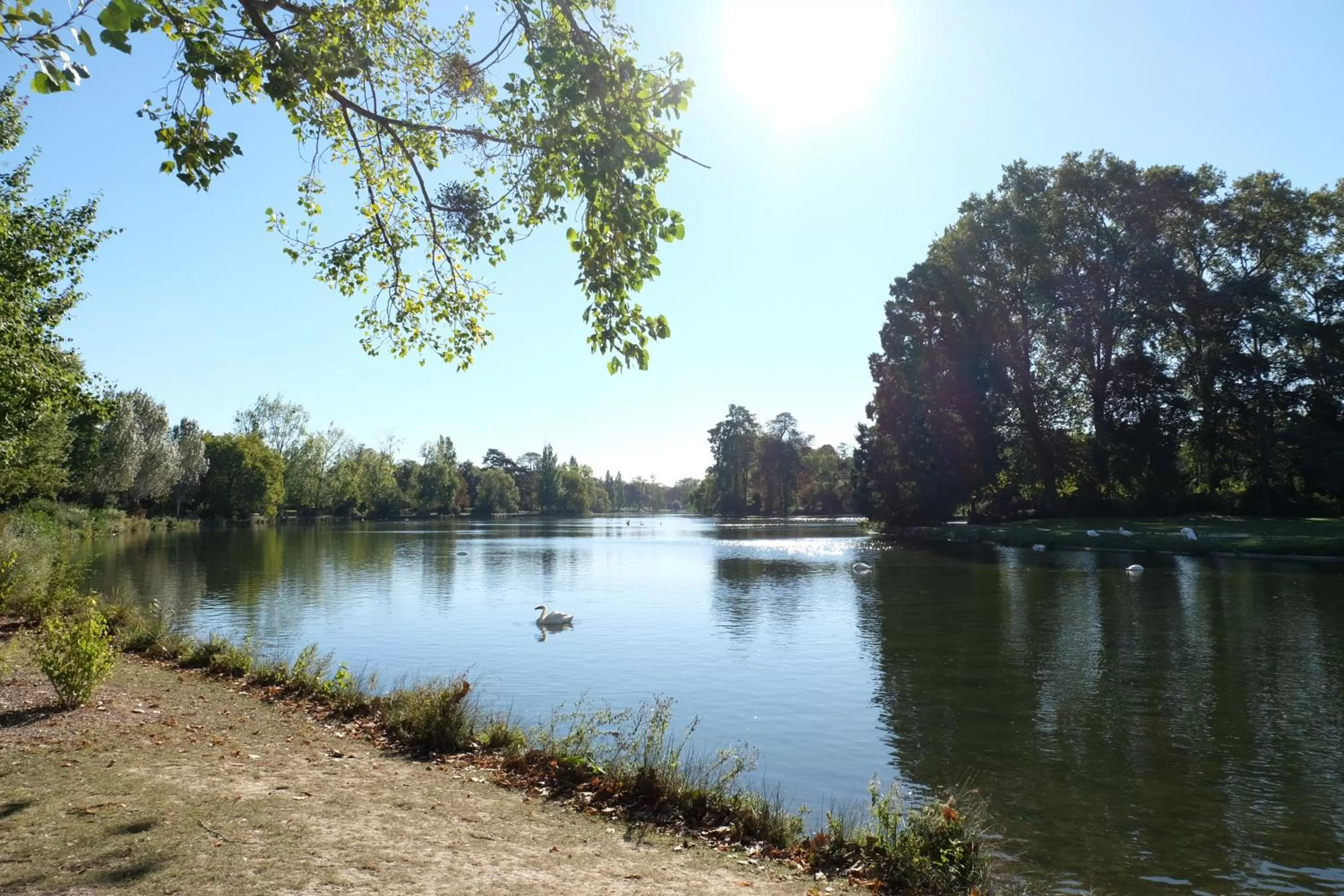 Natural landscape in ibis Daumesnil Porte Doree