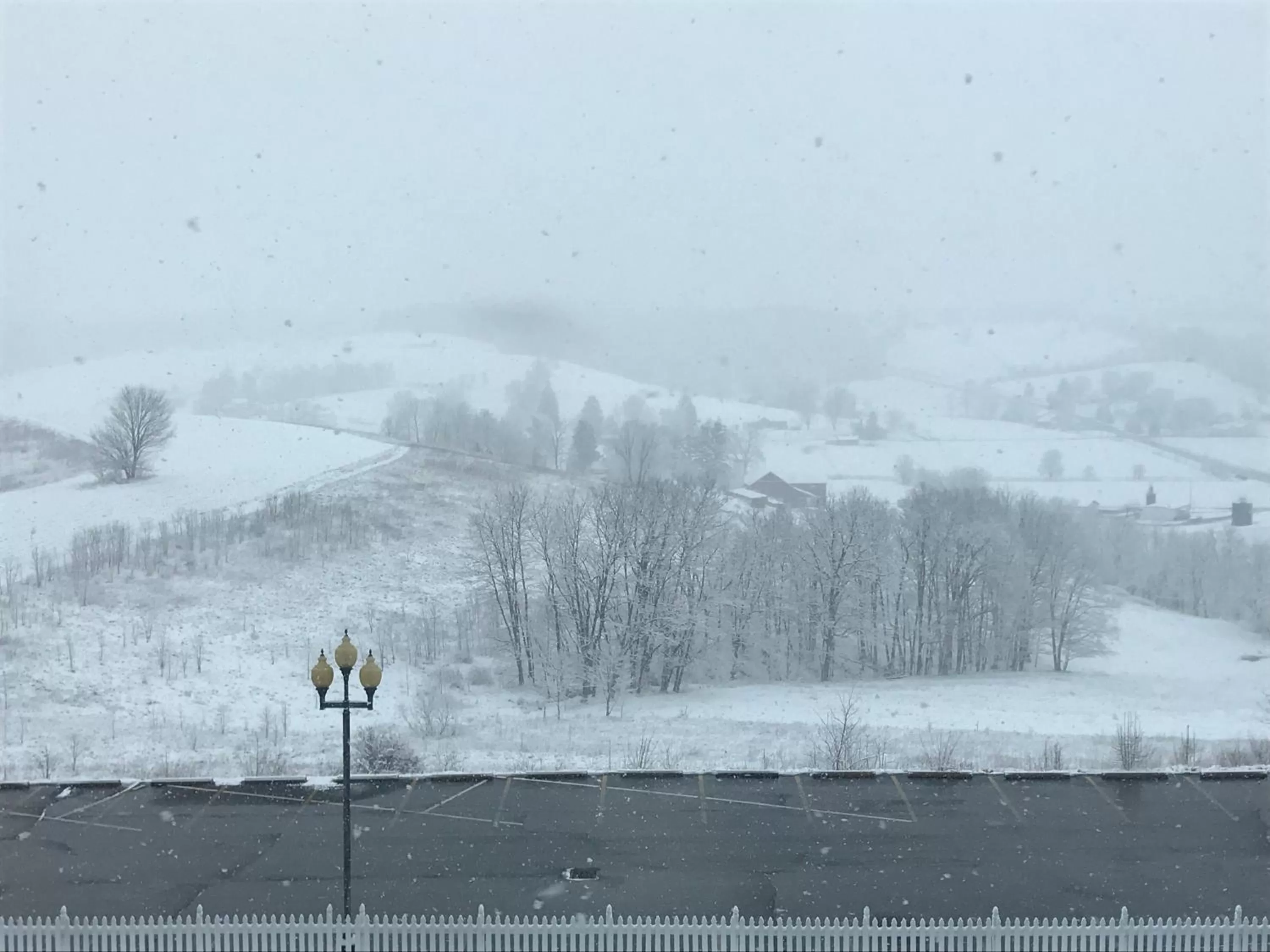 Natural landscape in Carlisle Inn Walnut Creek