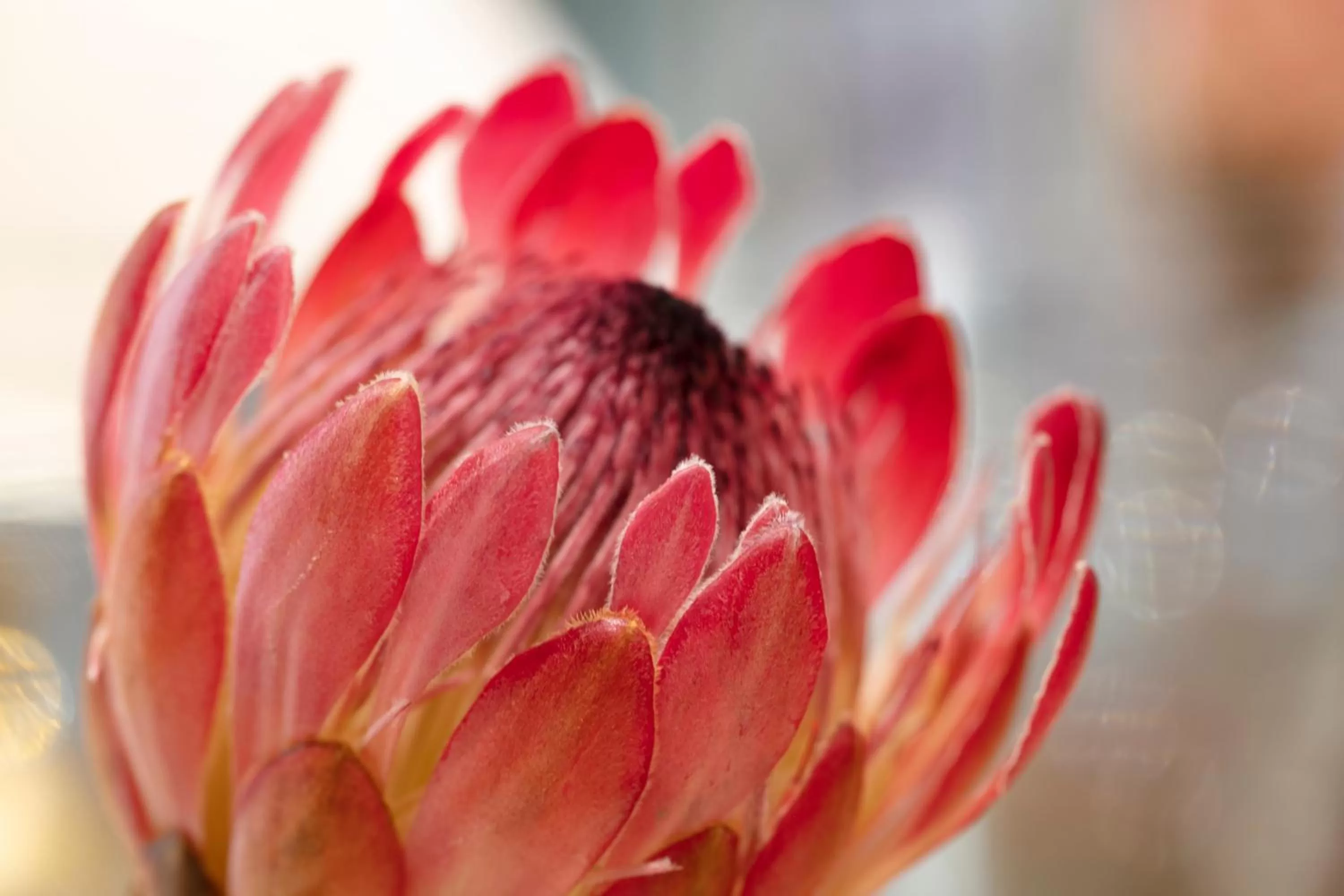 Natural landscape in The Rasmus