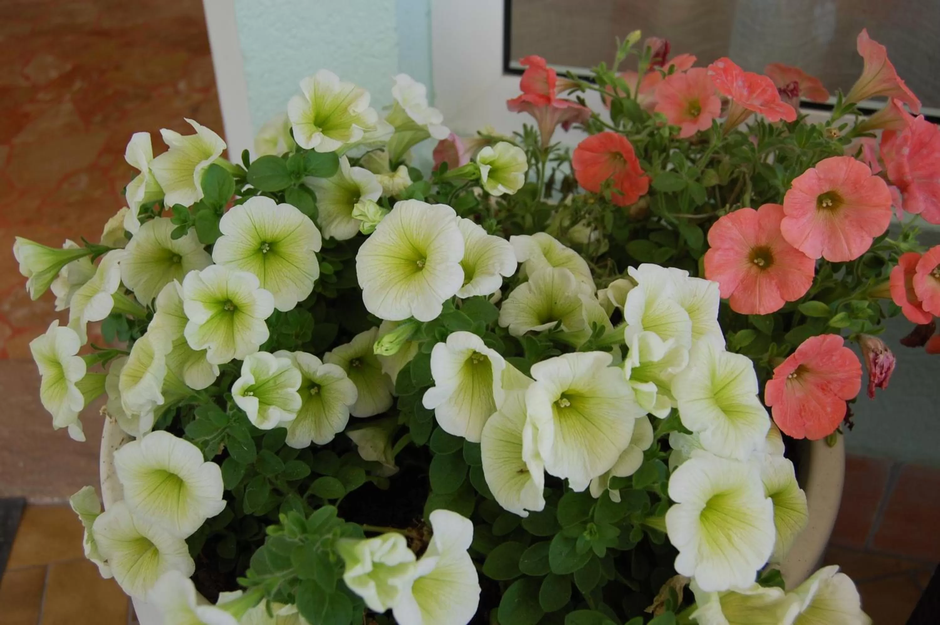 Other in Hotel Irene