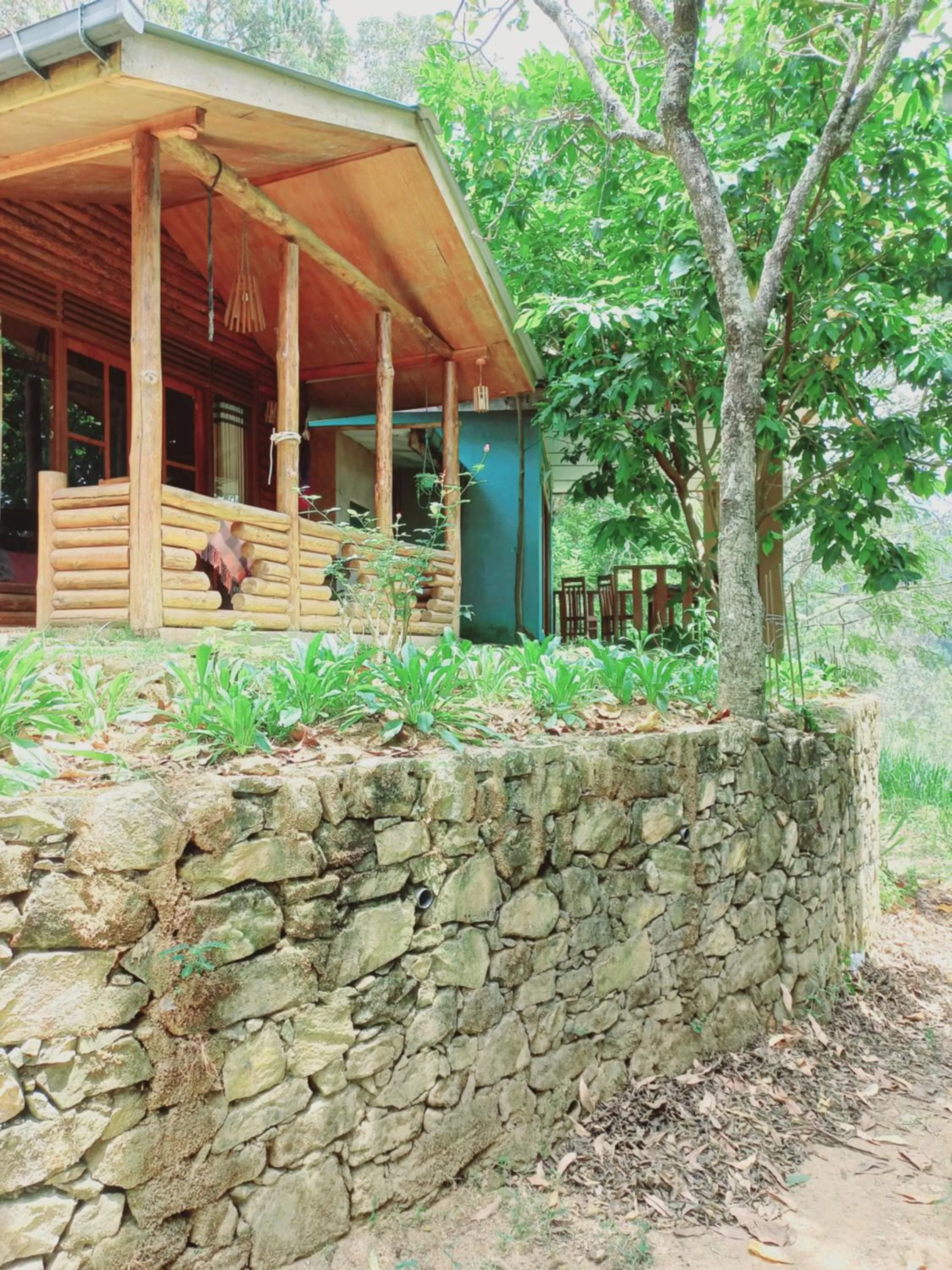 Property Building in Felicity Inn