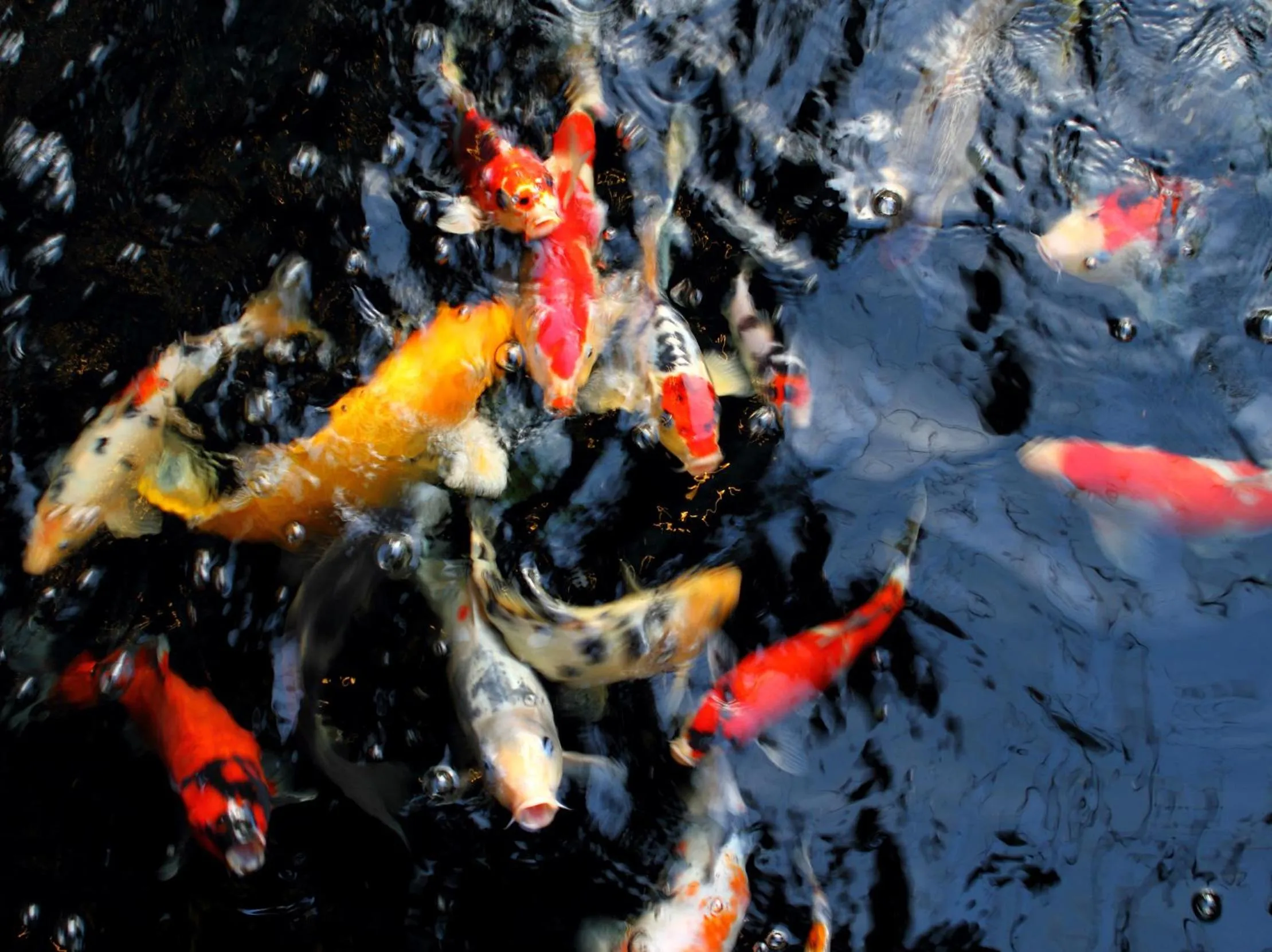Facade/entrance in Gord ChiangMai Hotel