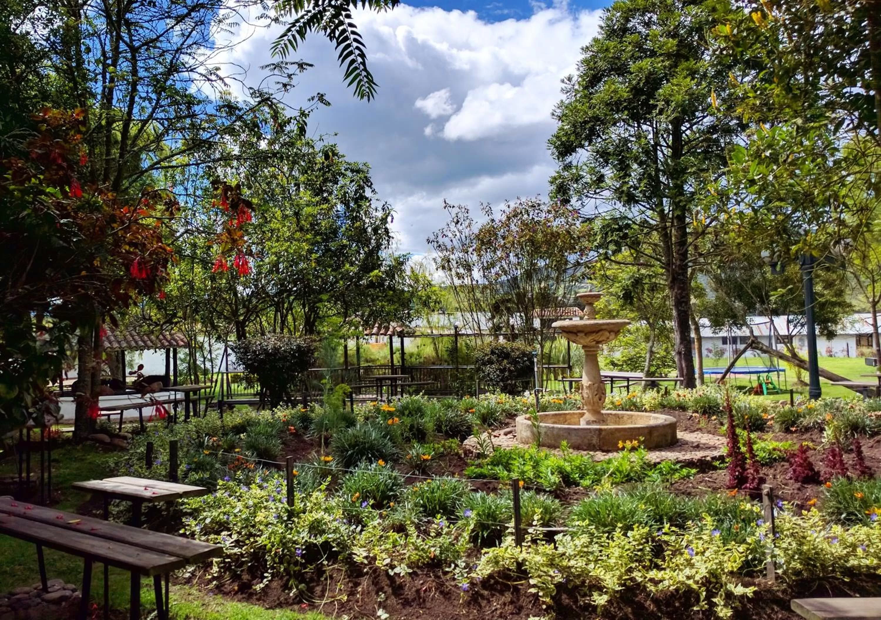 Garden in Posada Cafe La Huerta
