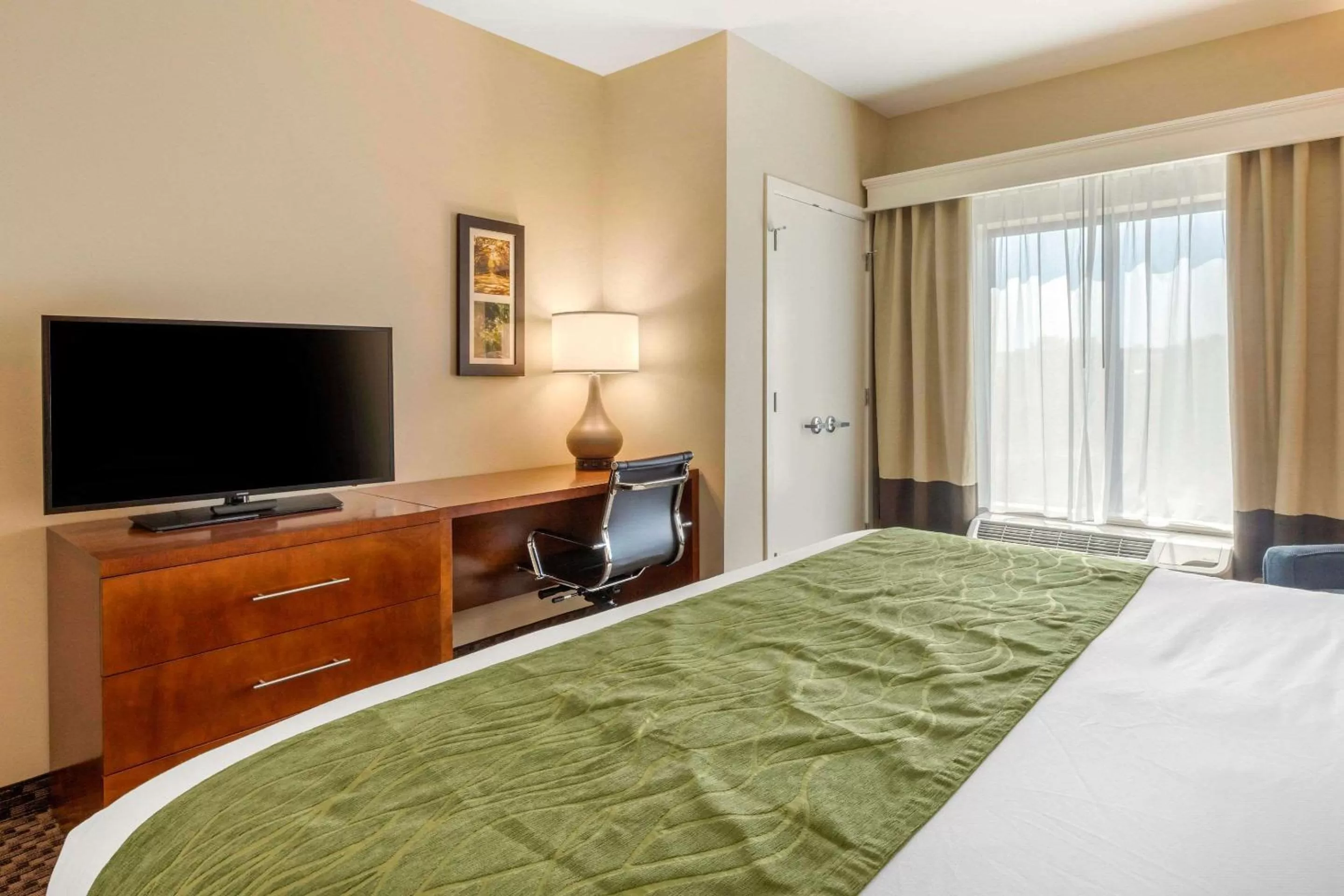 Photo of the whole room, Bed in Comfort Inn & Suites Florence Center Area