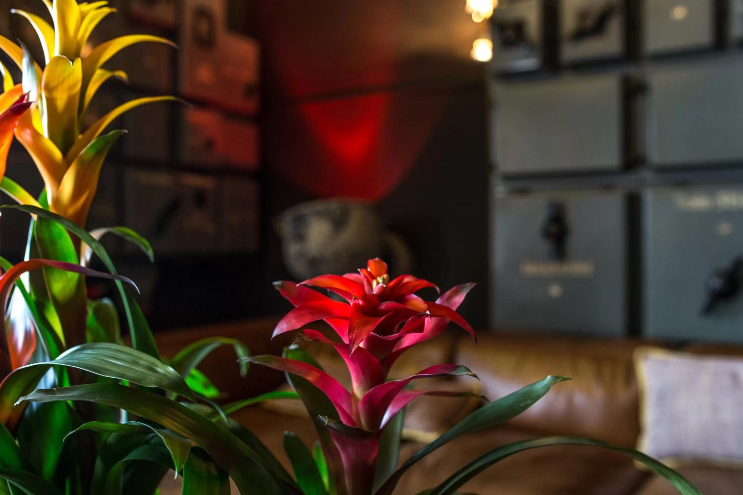 Lounge or bar in Speicher7 Hotel