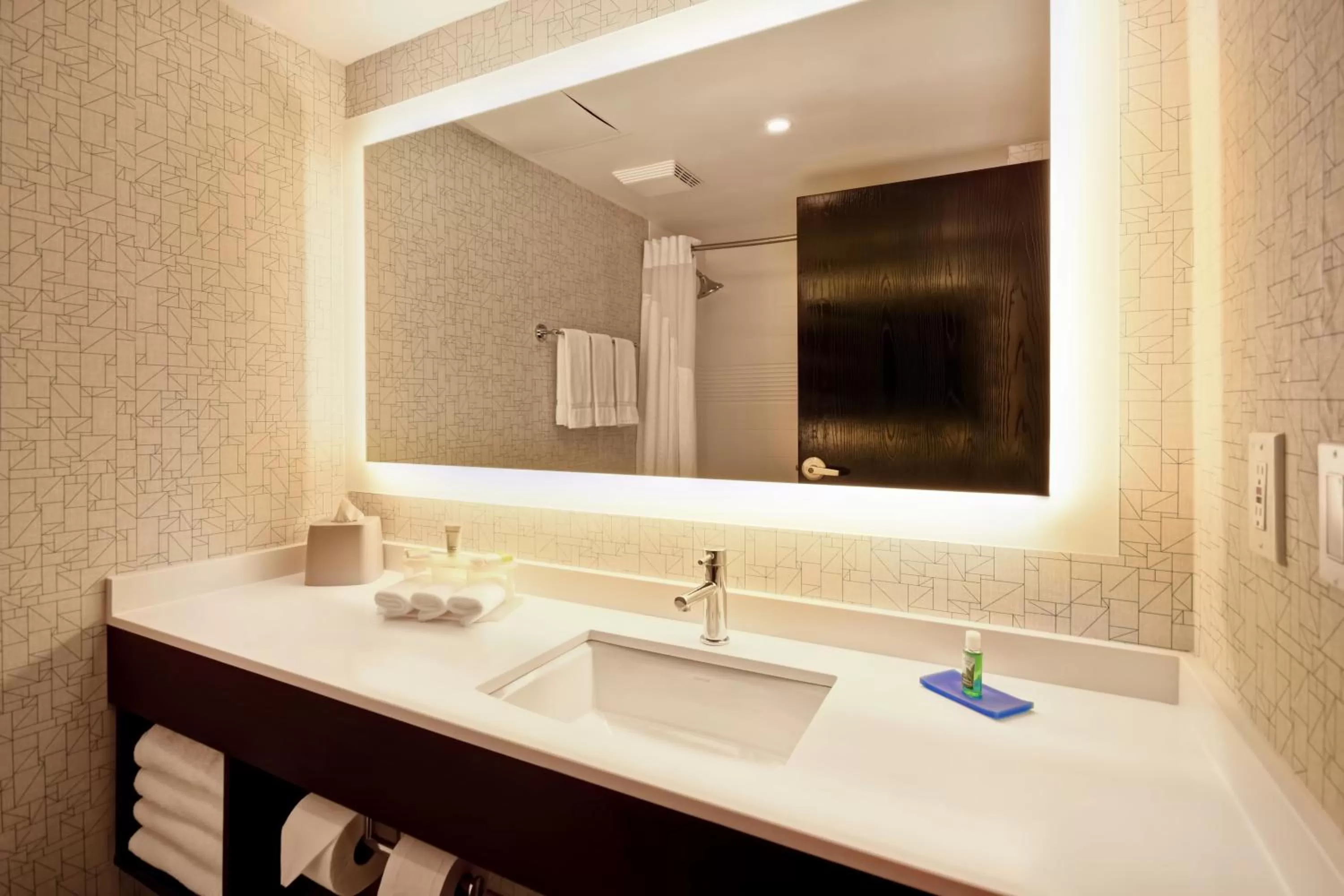 Bathroom in Holiday Inn Express & Suites Allentown-Dorney Park Area by IHG