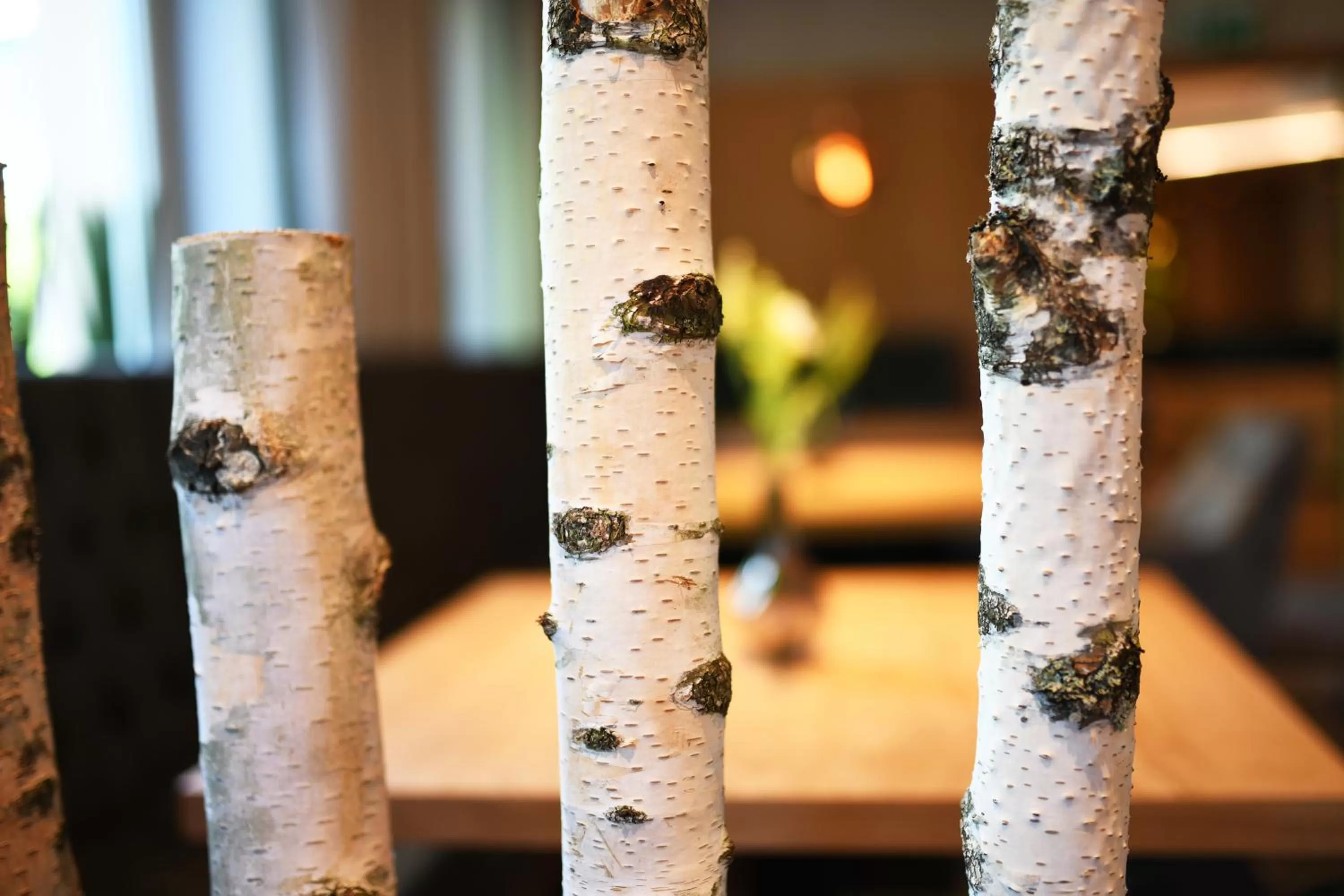 Restaurant/places to eat in Hotel Beethoven