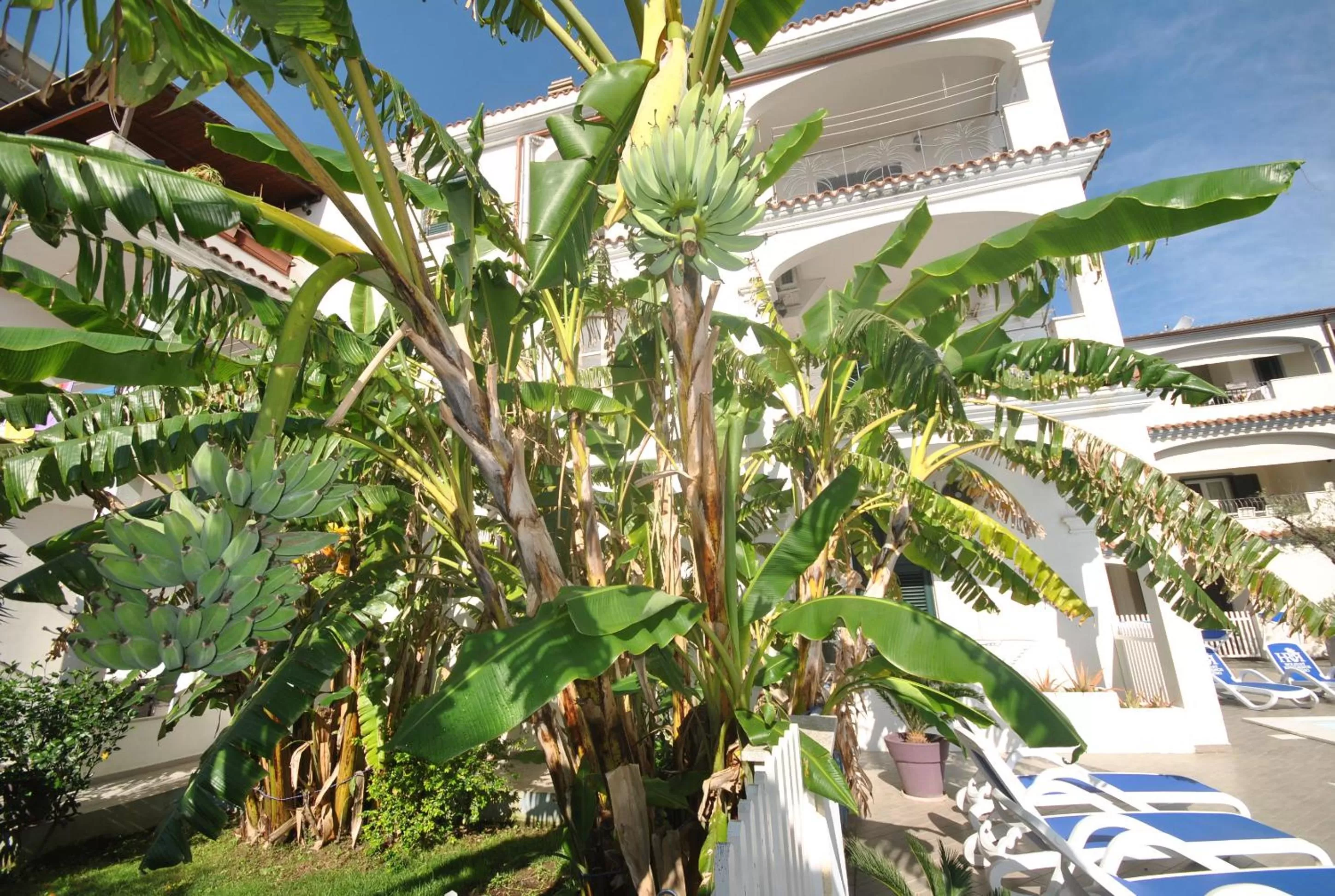 Garden in Holiday Residence Rifugio