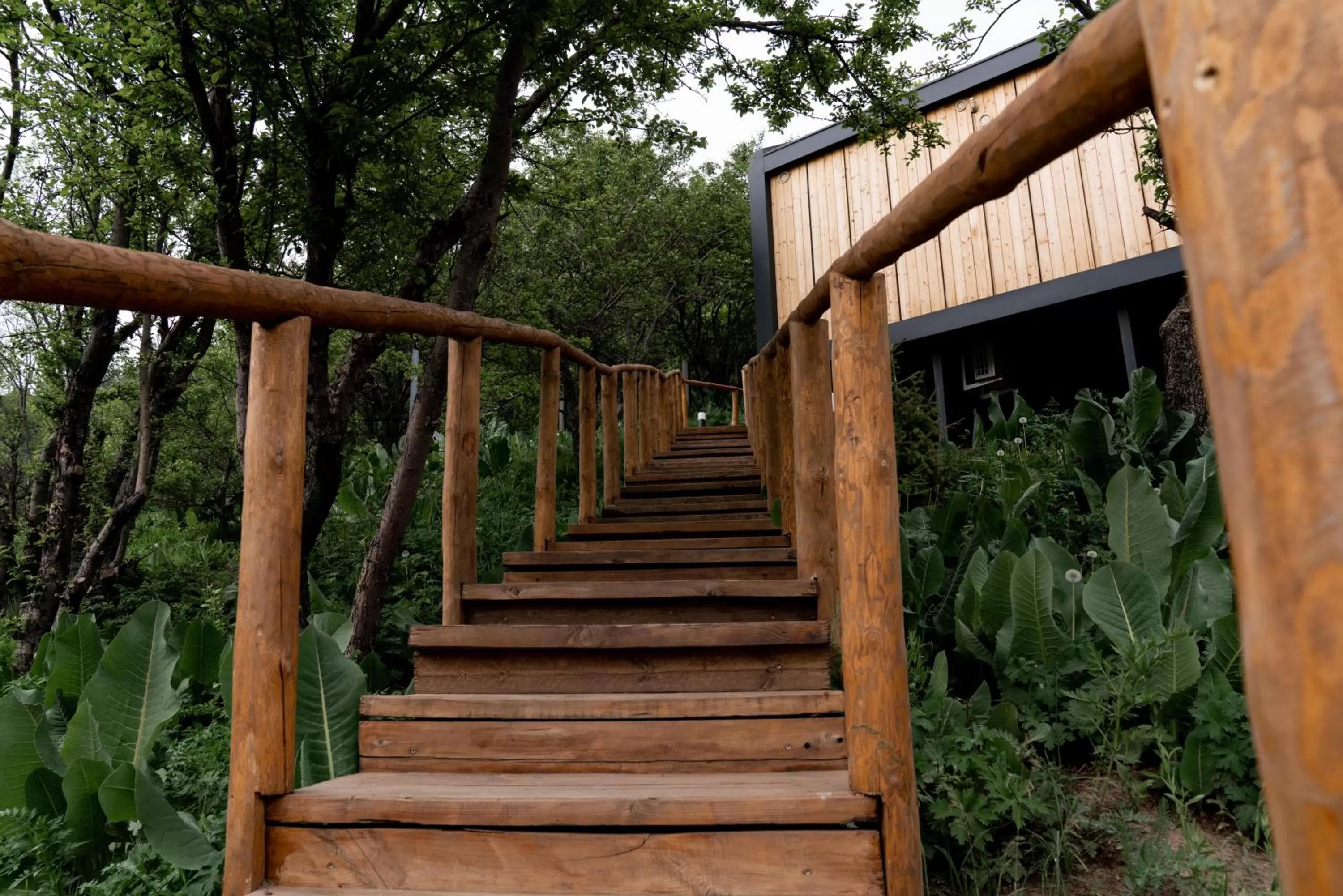 Garden view in Qazaq Auyl Eco Hotel