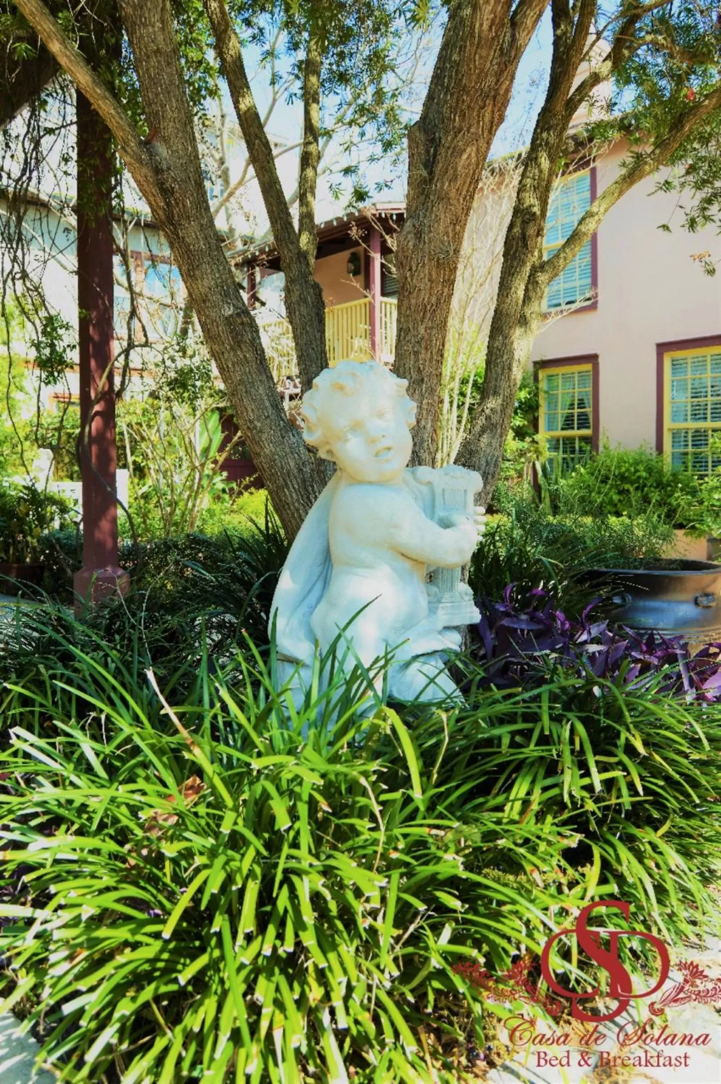 Garden in Casa De Solana & Victorian House Bed and Breakfast