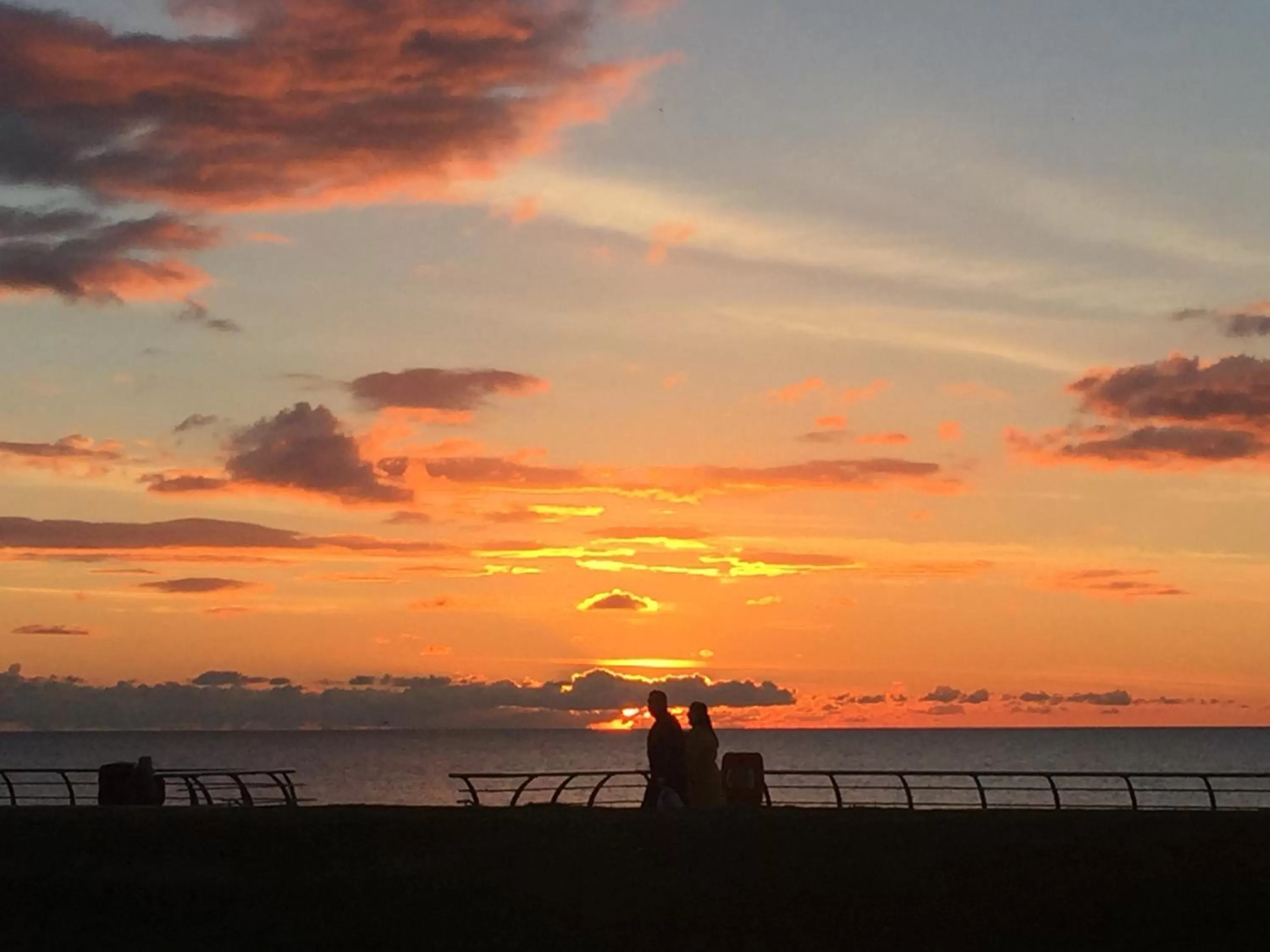 Natural landscape in Sandford Promenade