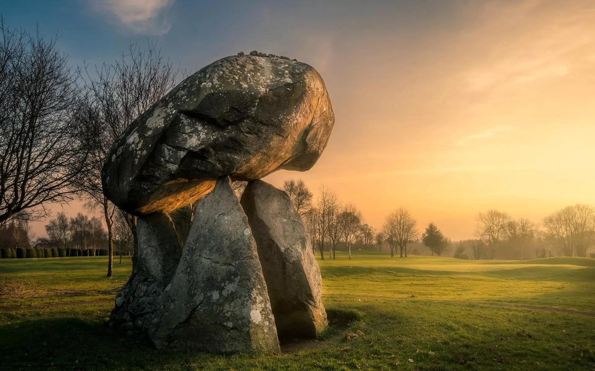 Golfcourse in Ballymascanlon Hotel and Golf Resort