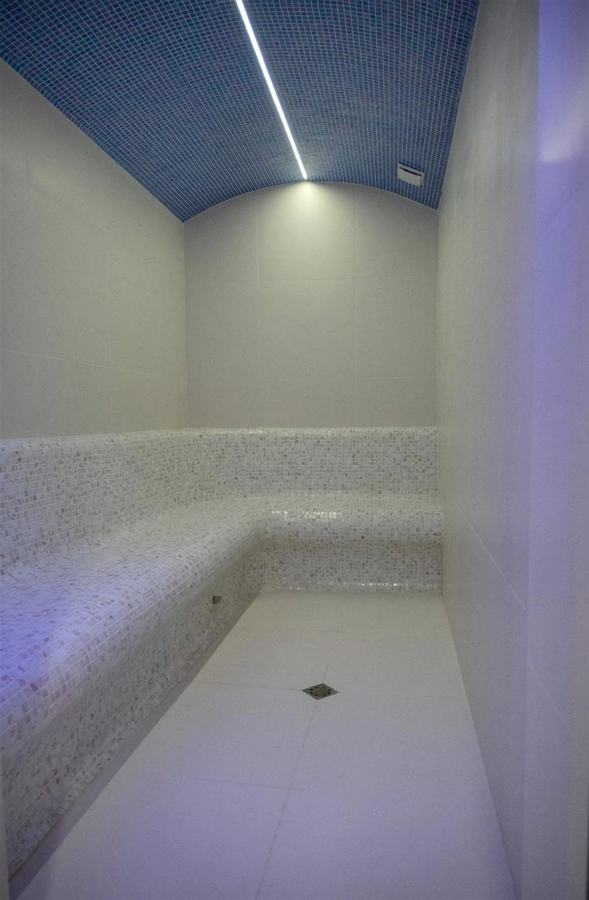 Spa and wellness centre/facilities in Lime House, Kyustendil