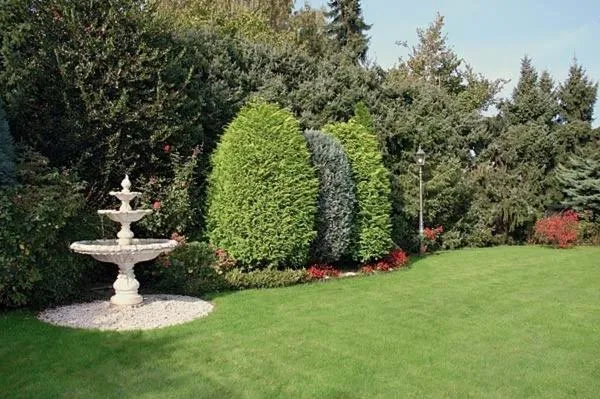 Garden in Garten-Hotel Ponick