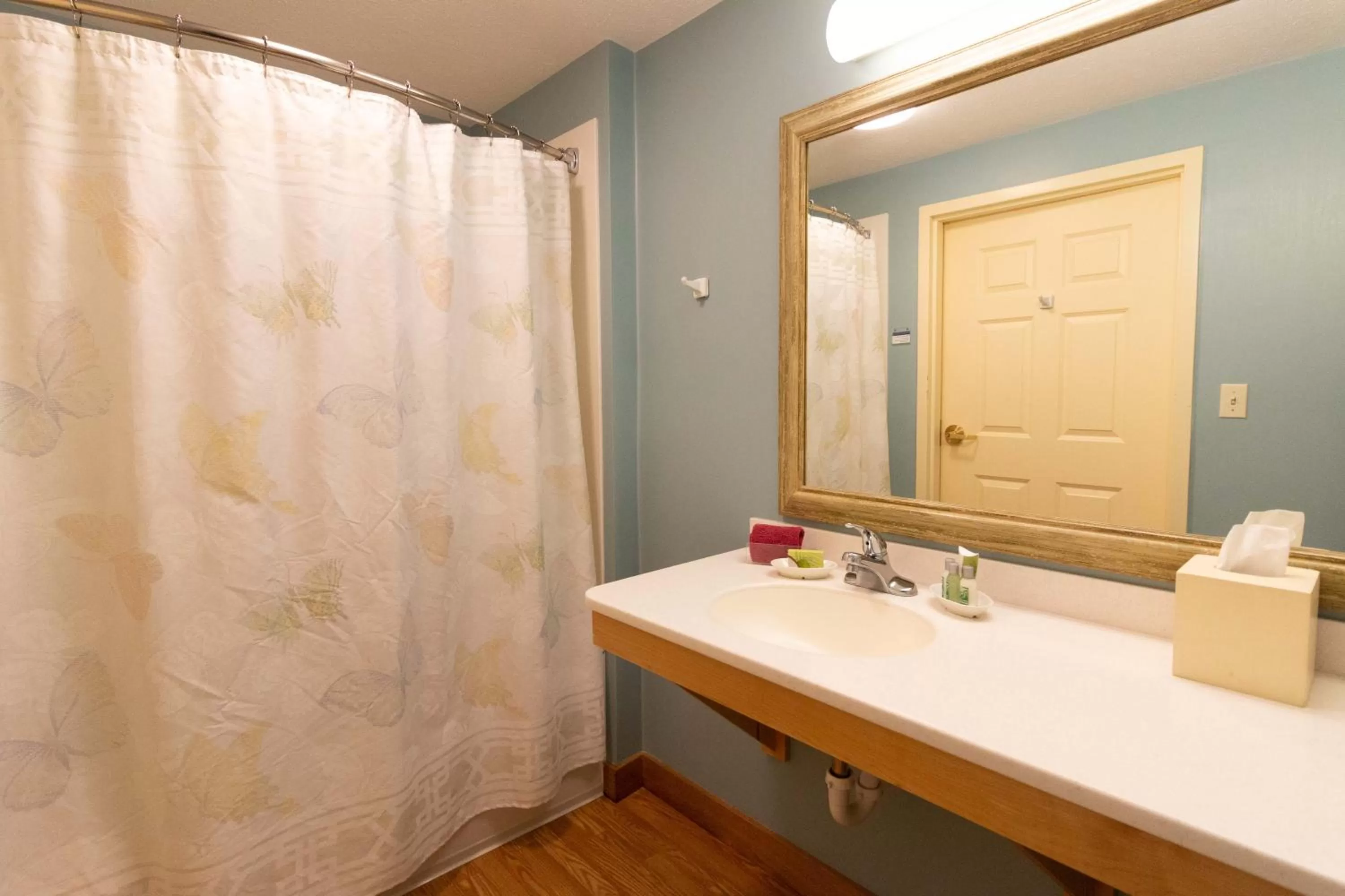 Bathroom in Essenhaus Inn & Conf. Center