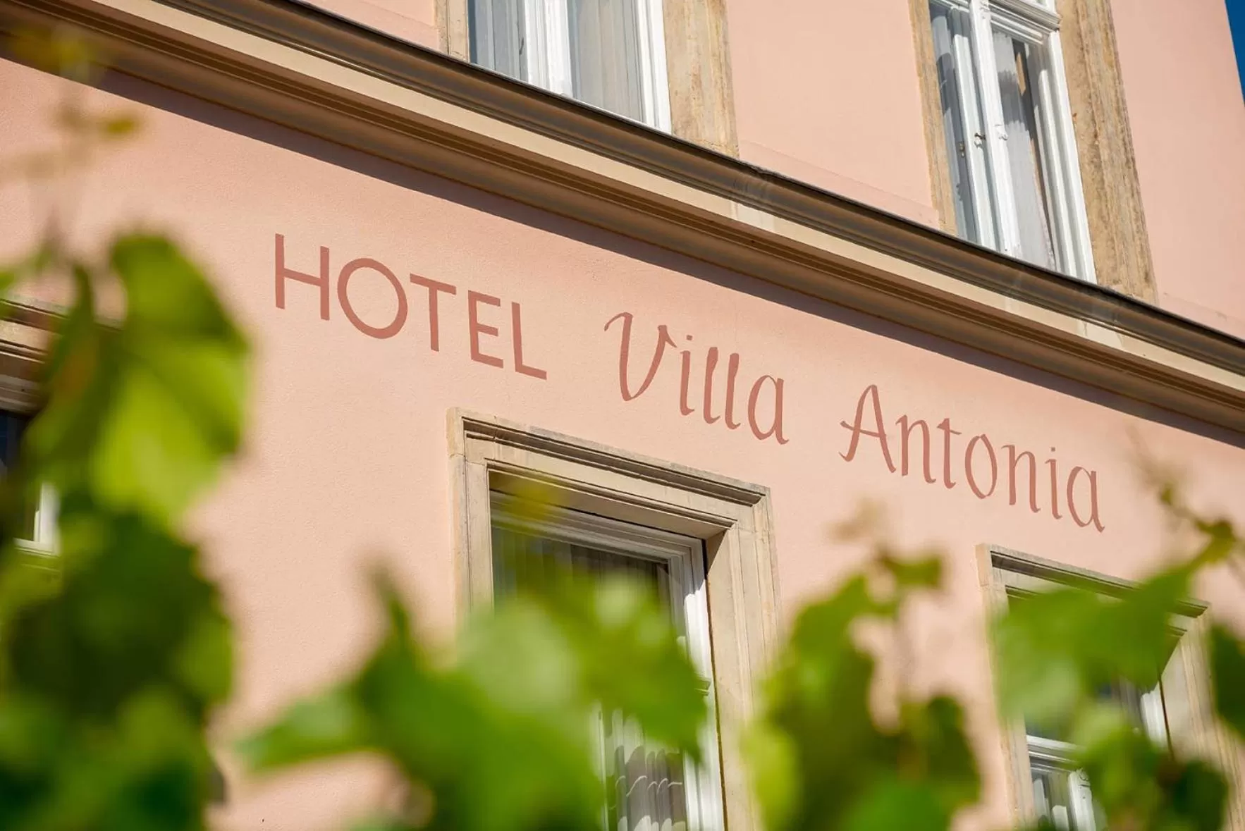 Logo/Certificate/Sign in Villa Antonia