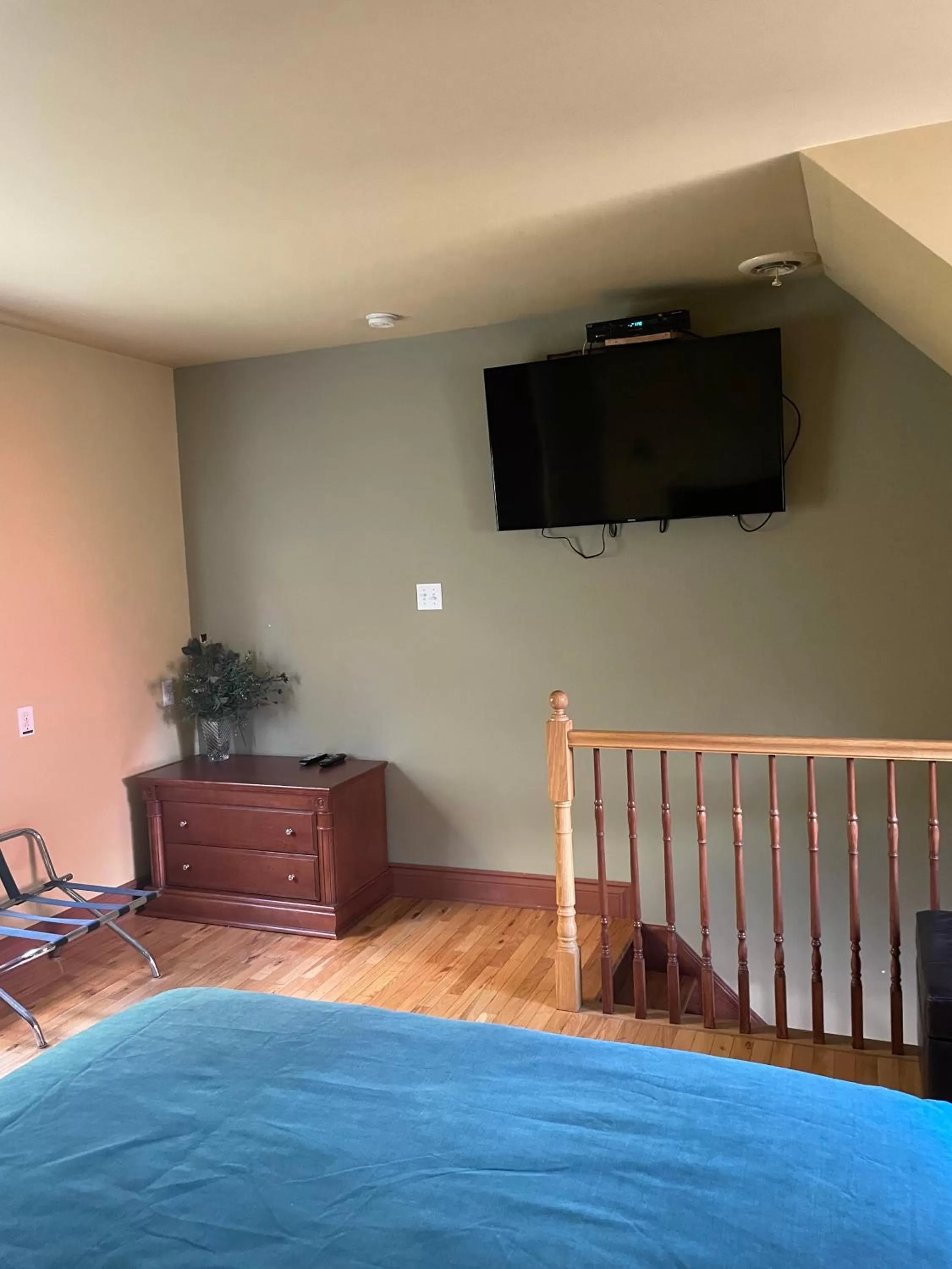 Luxury Suite with Spa Bath in Motel au P'tit Sapin