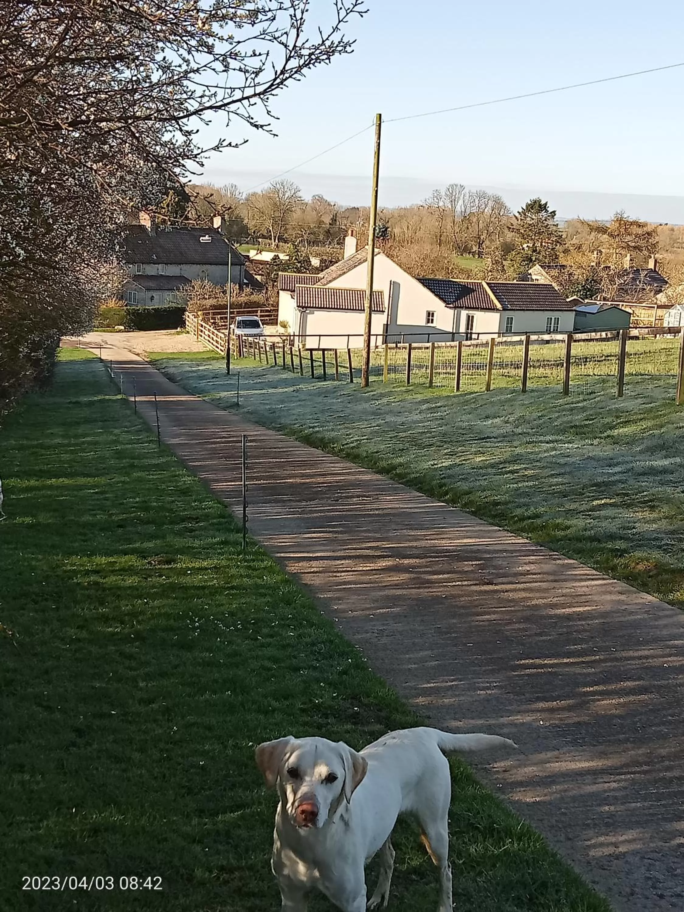 Natural landscape in Rosegarth Bed and Breakfast