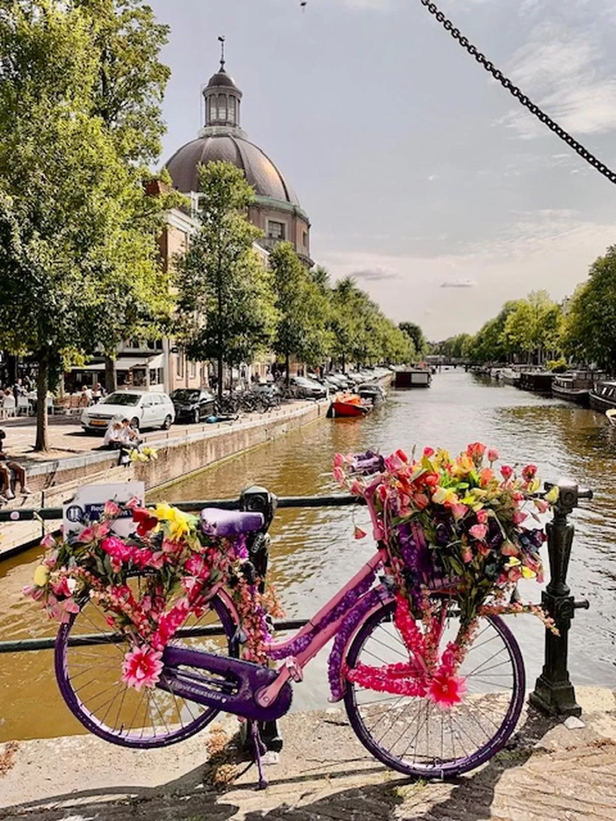 Area and facilities in Bed & Breakfast Jo Amsterdam