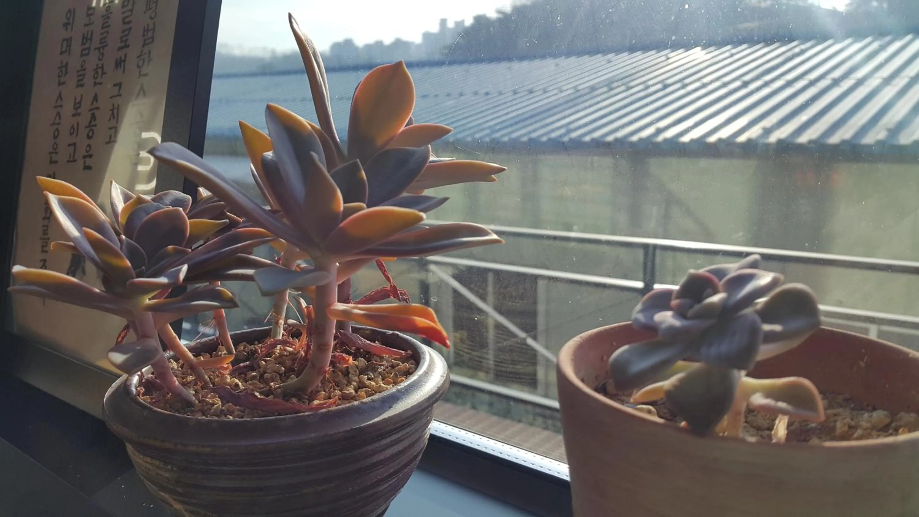 Property building in Andong Poong-gyung HOSTEL n LIBRARY