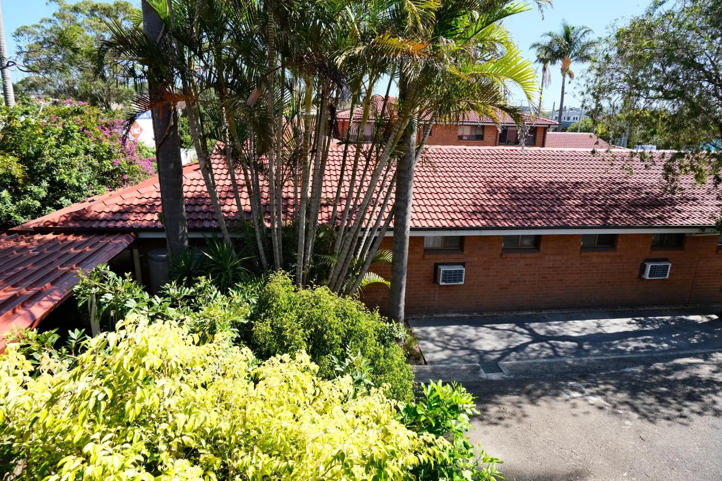 Garden view in Sapphire Palms Motel