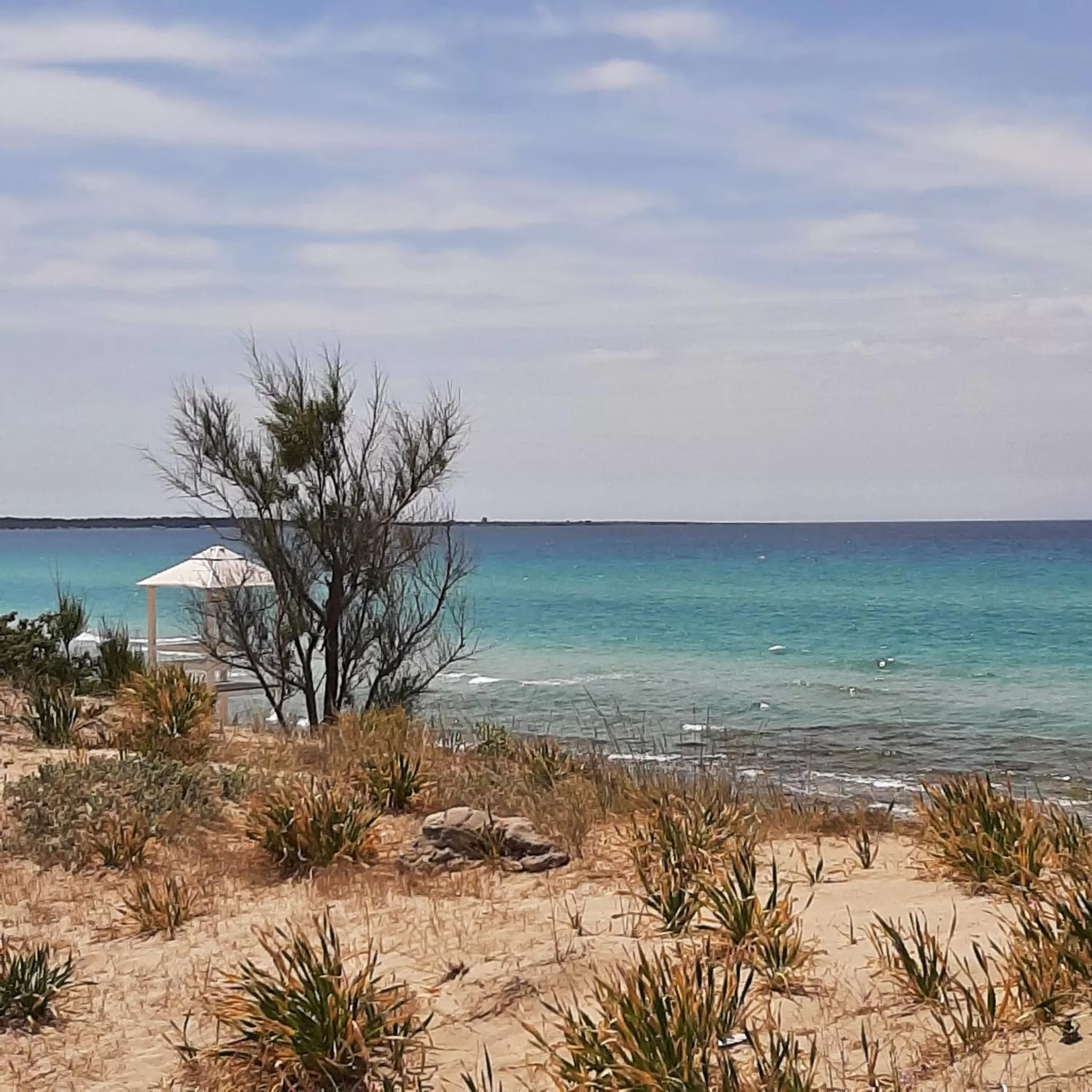 Other in Medusa Gallipoli