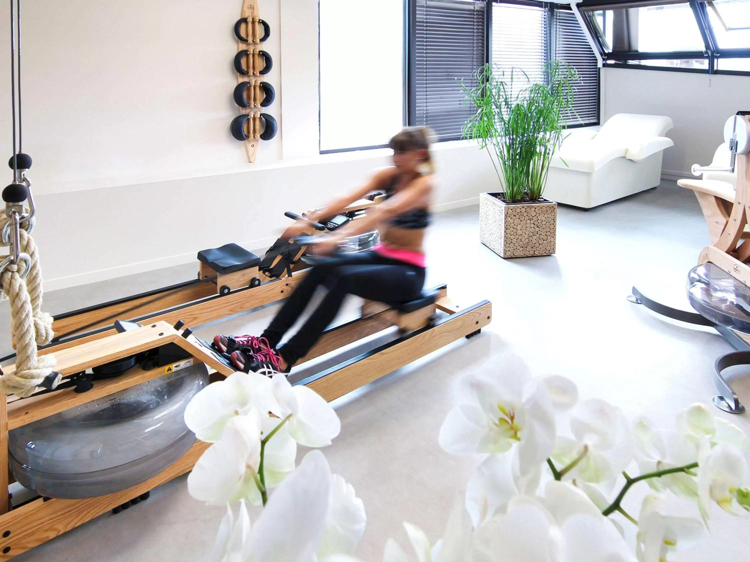 On site in ibis styles Albi Centre Le Theatro